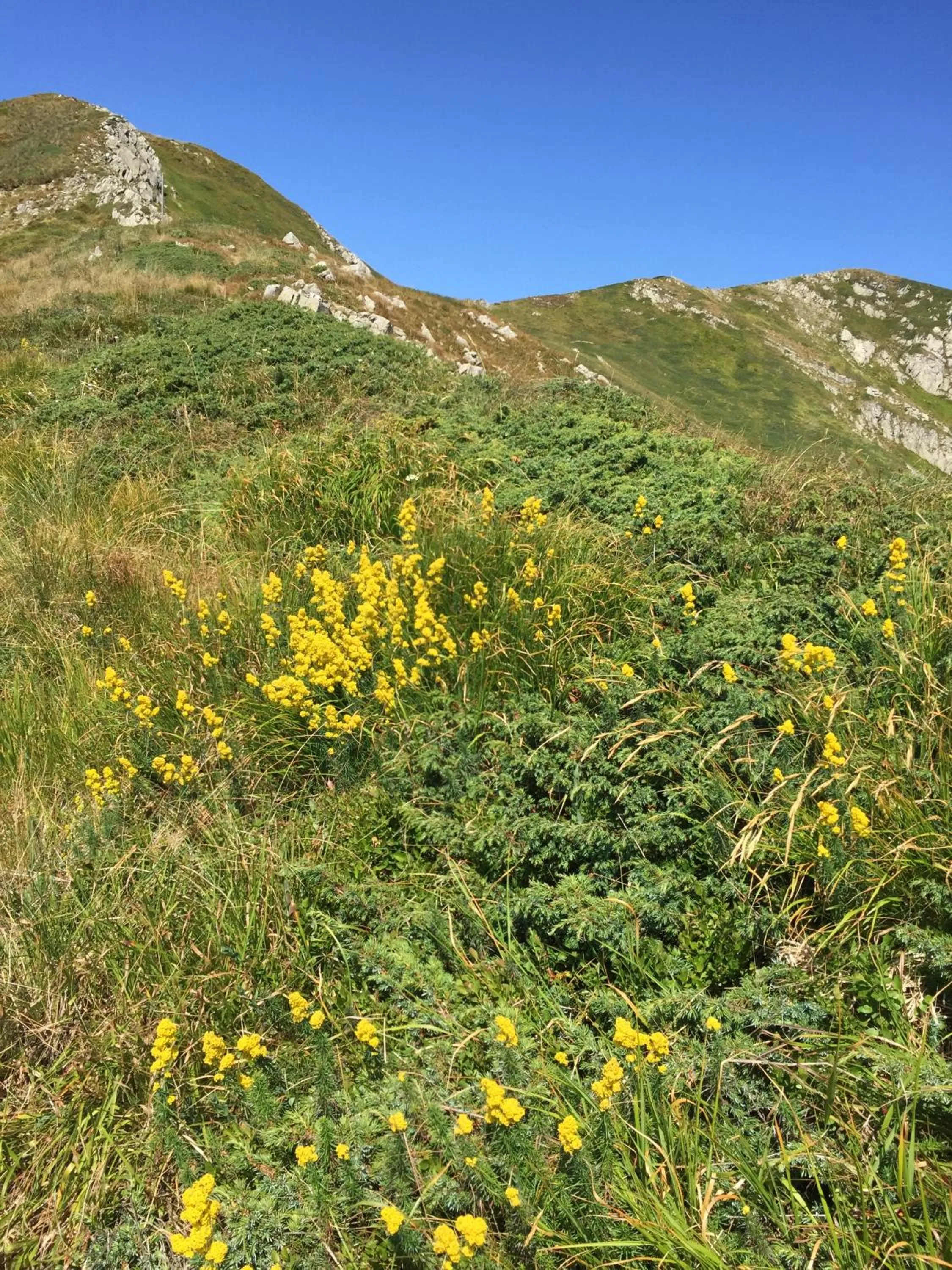 Location in Casa Sperandini