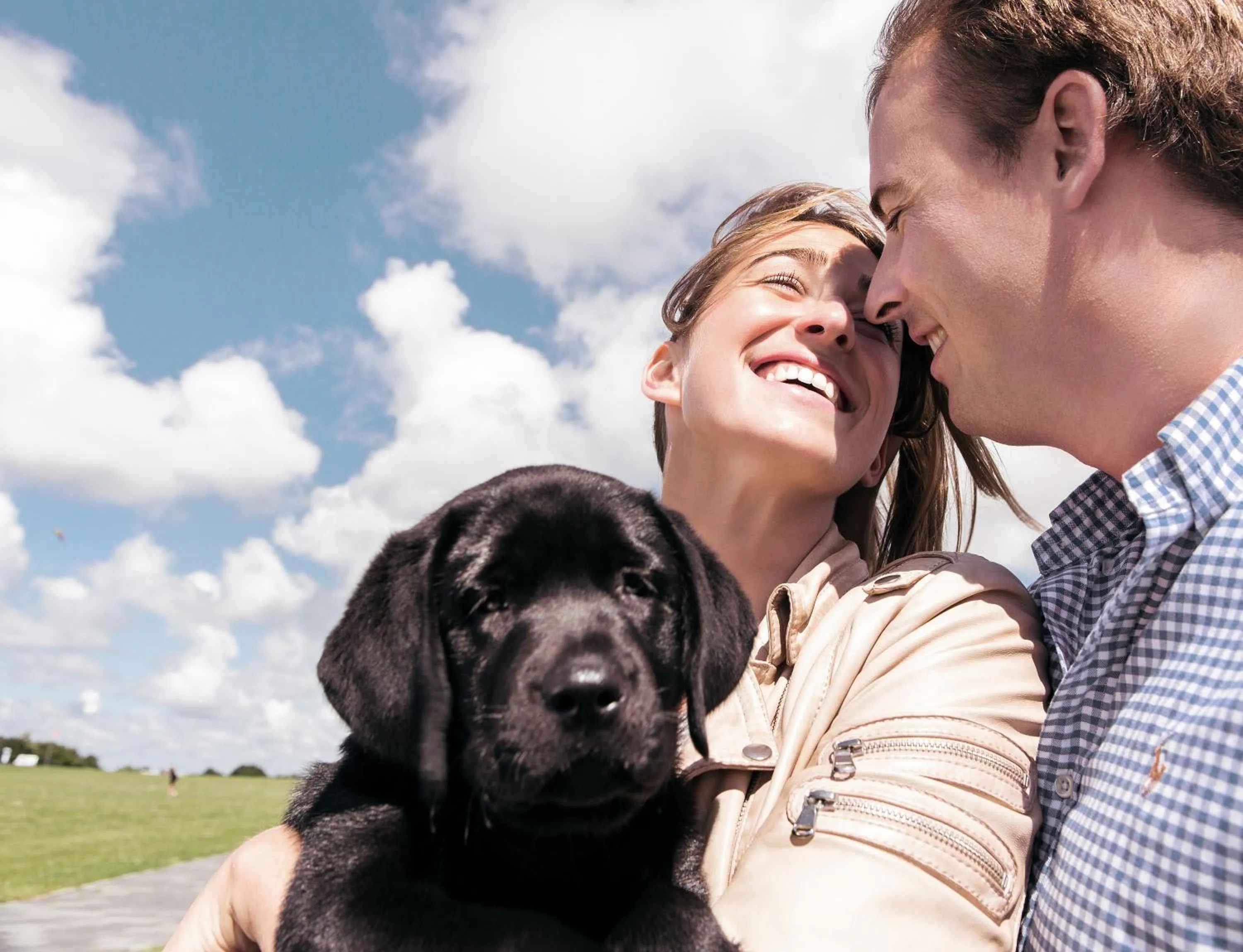 Pets in Küstenperle Strandhotel & Spa