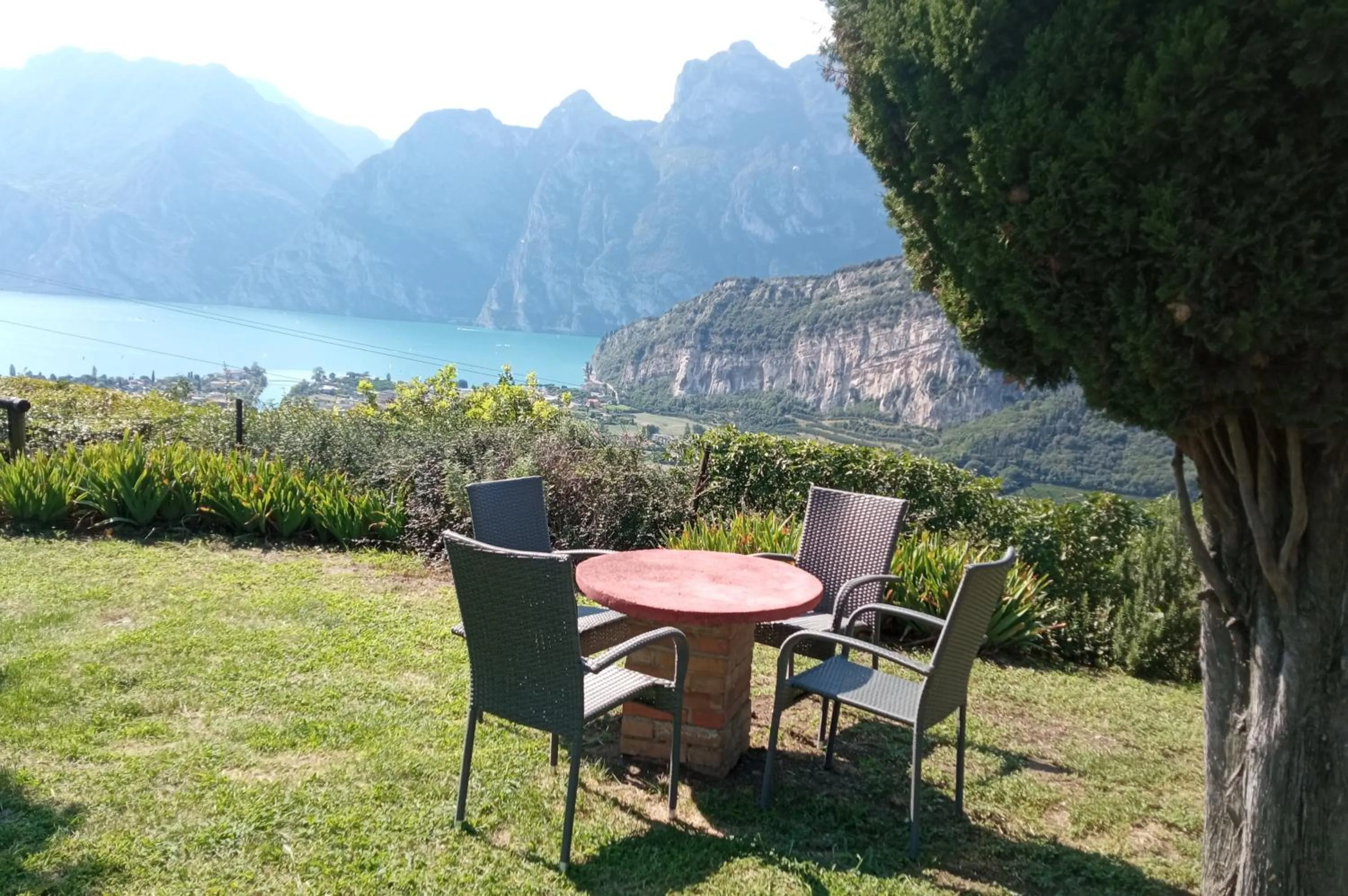 Garden view in Garden Belvedere B&B