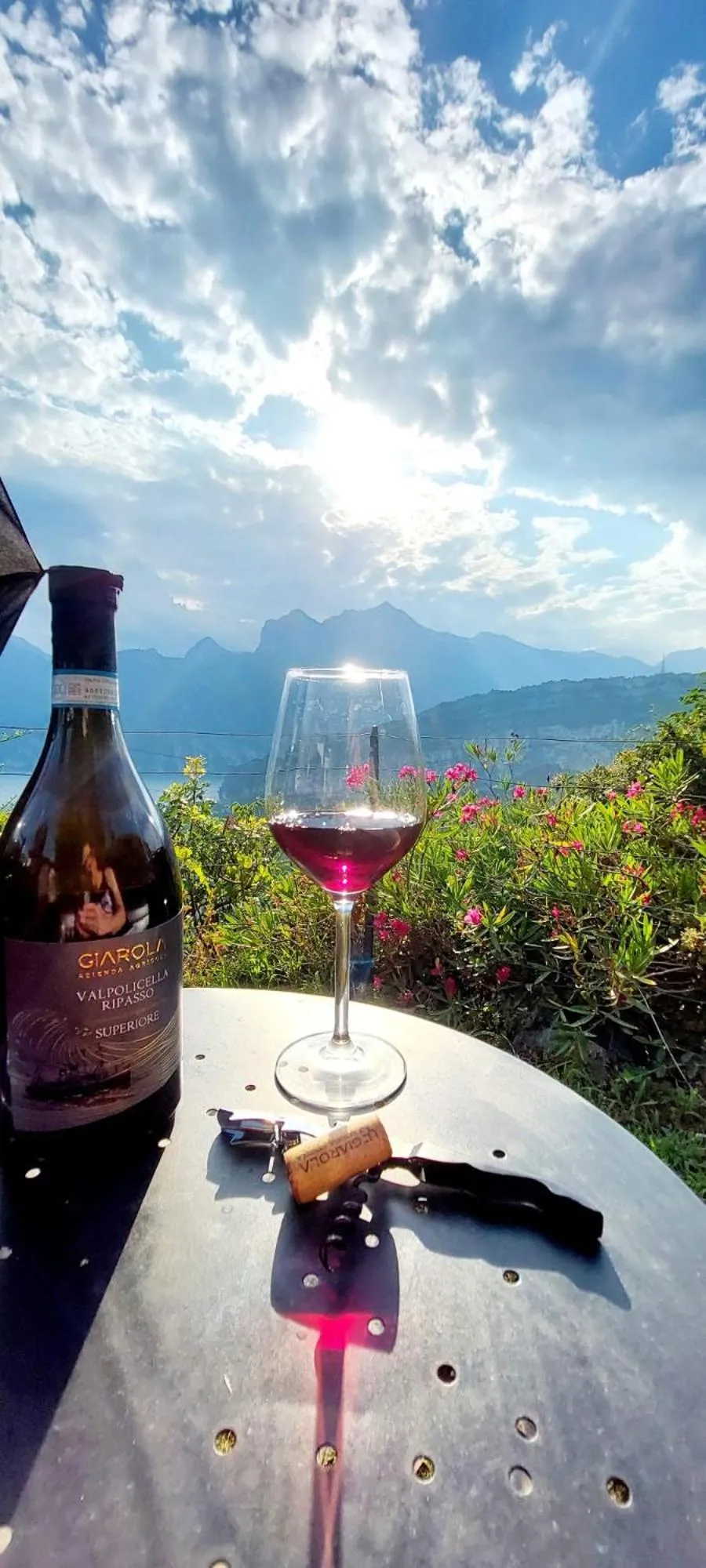 Garden in Garden Belvedere B&B