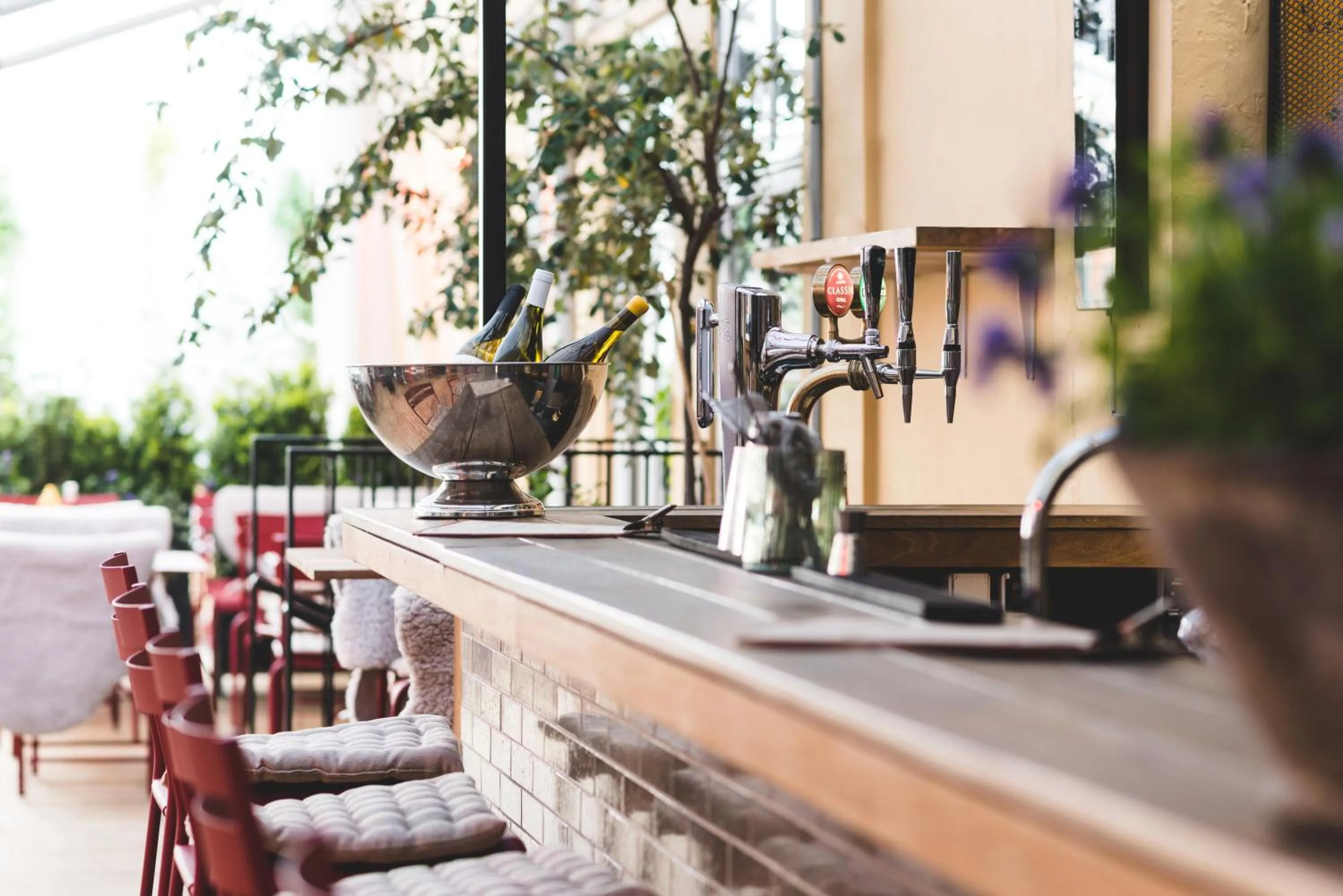 Lounge or bar in Hotel SP34