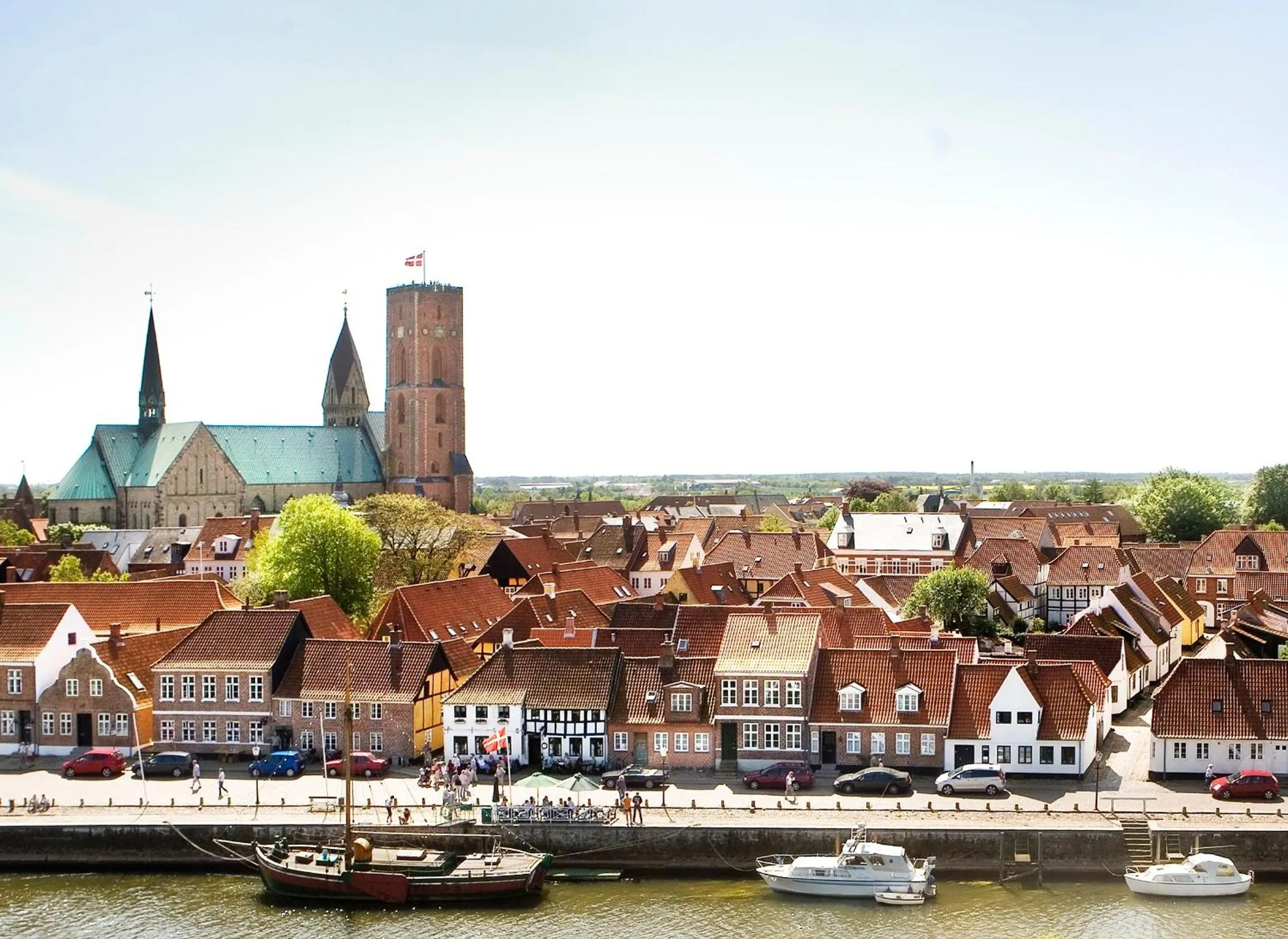 Natural landscape in Ribe Byferie Resort