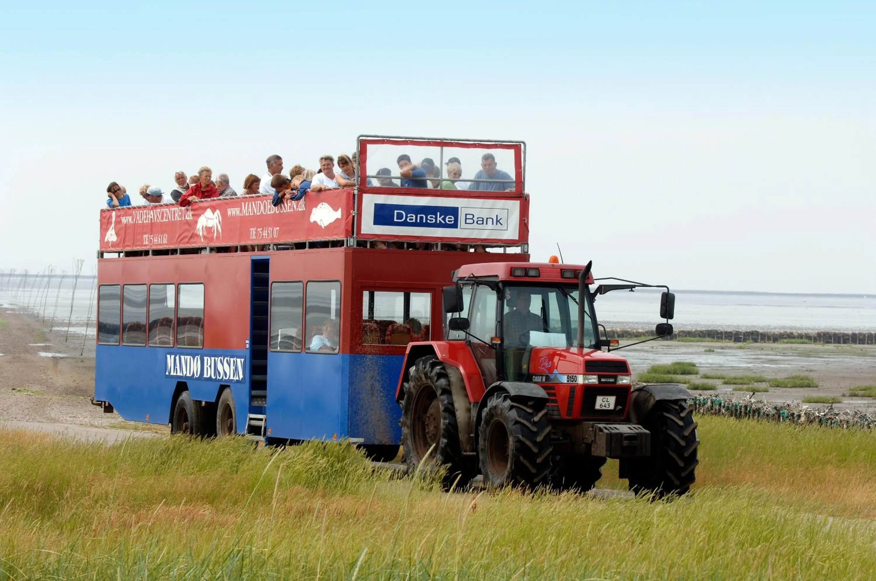 Natural landscape in Ribe Byferie Resort