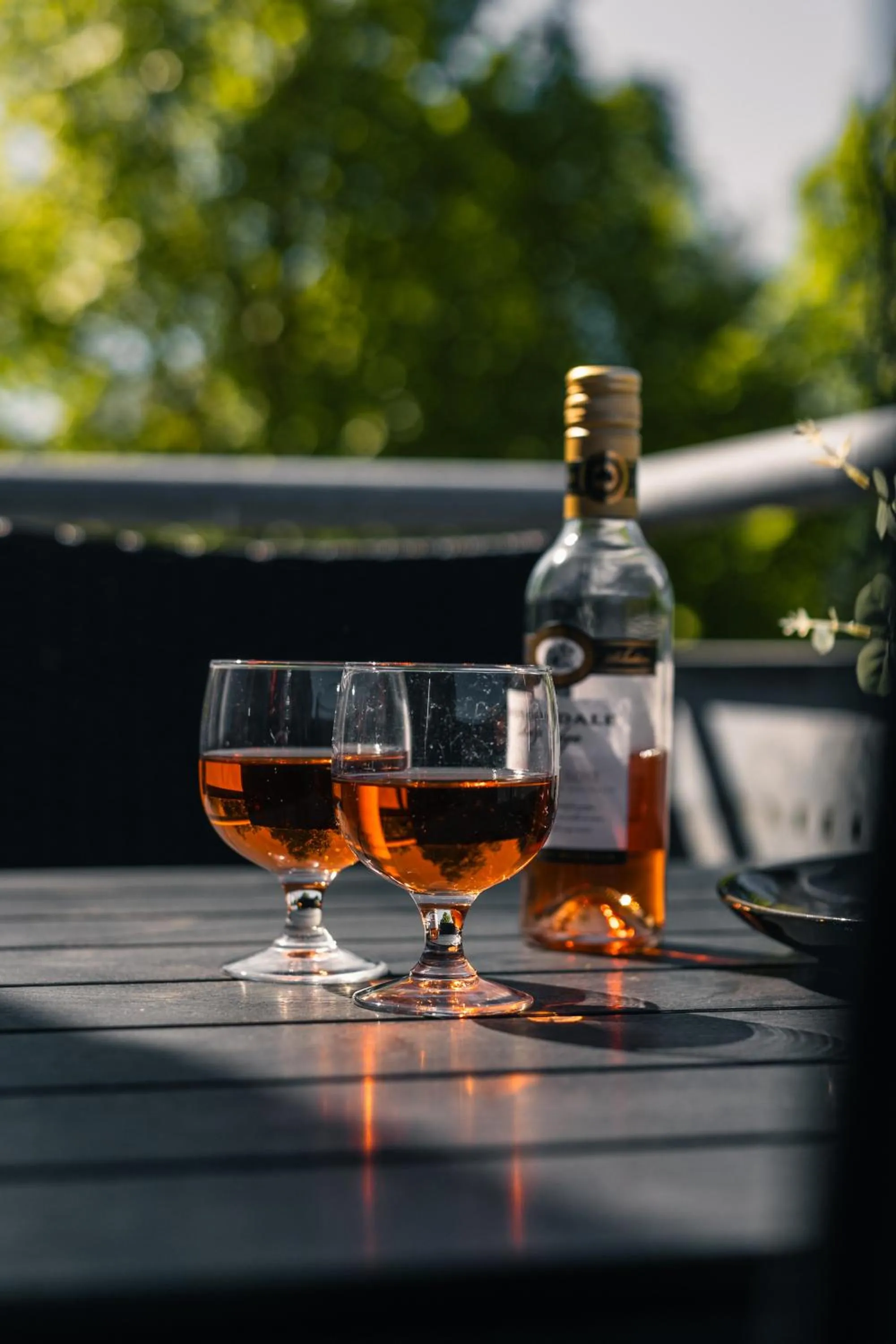 Summer in Ribe Byferie Resort