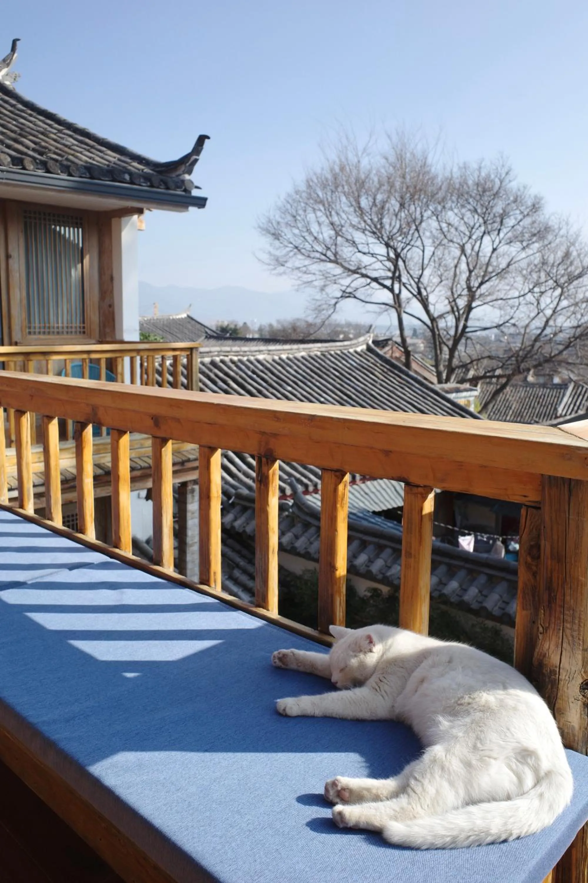 Other in Jianshe Inn