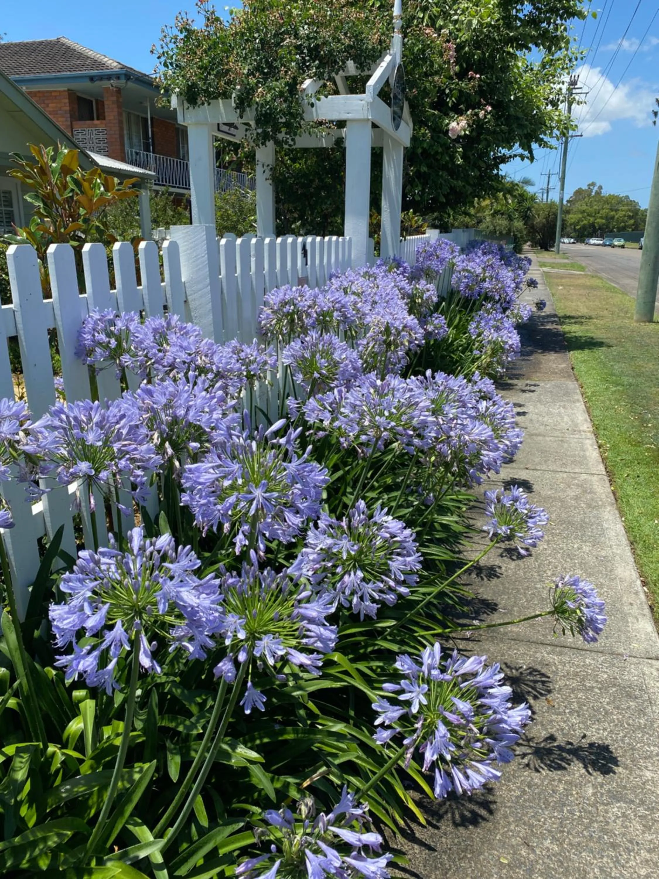 Property building in BIRCHES B&B
