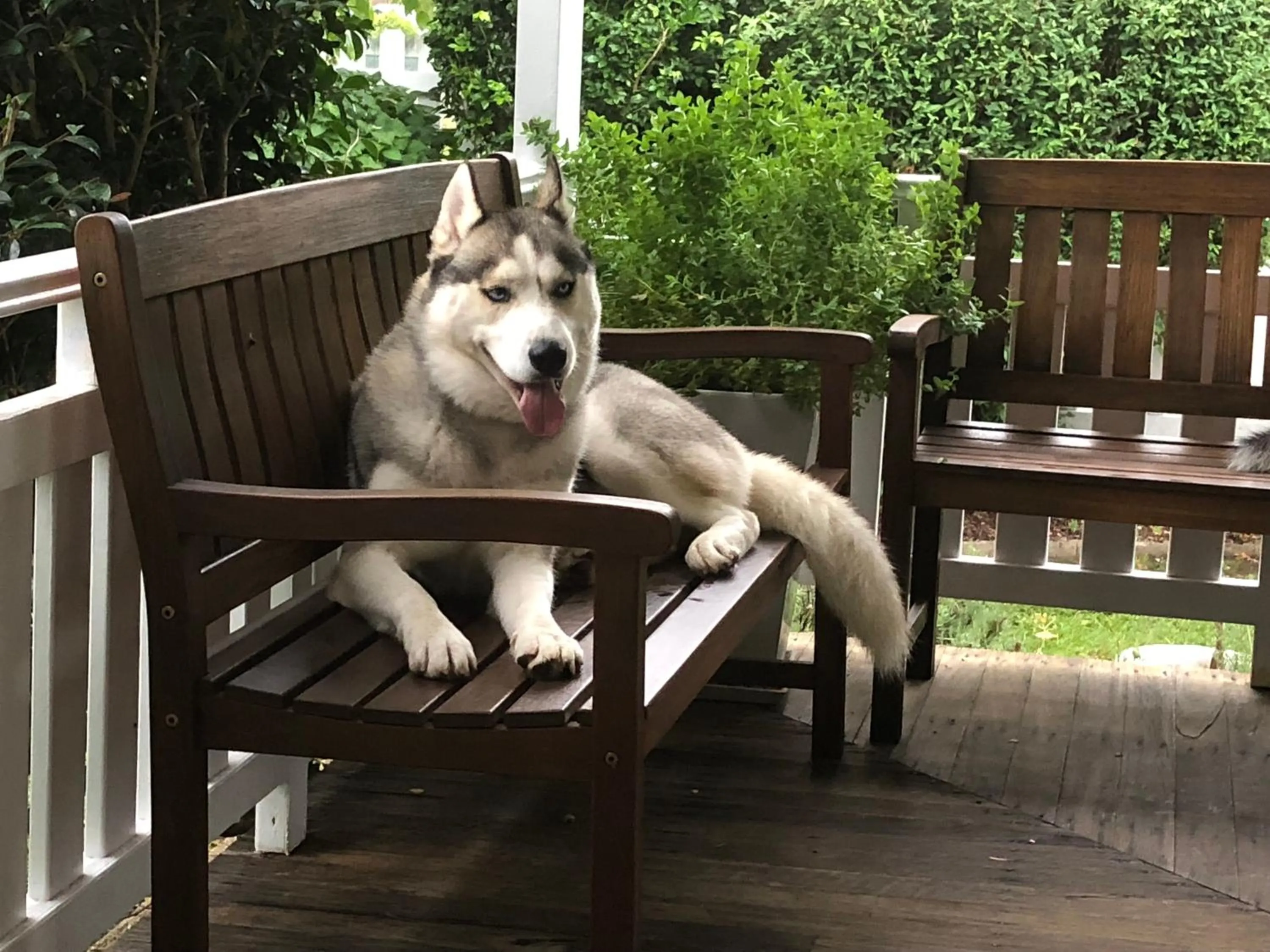 Property building in BIRCHES B&B