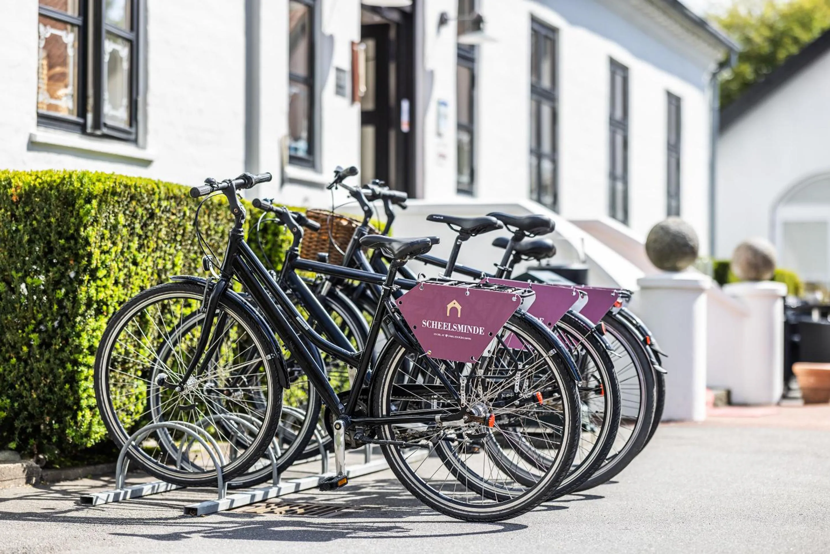 Sports in Hotel Scheelsminde
