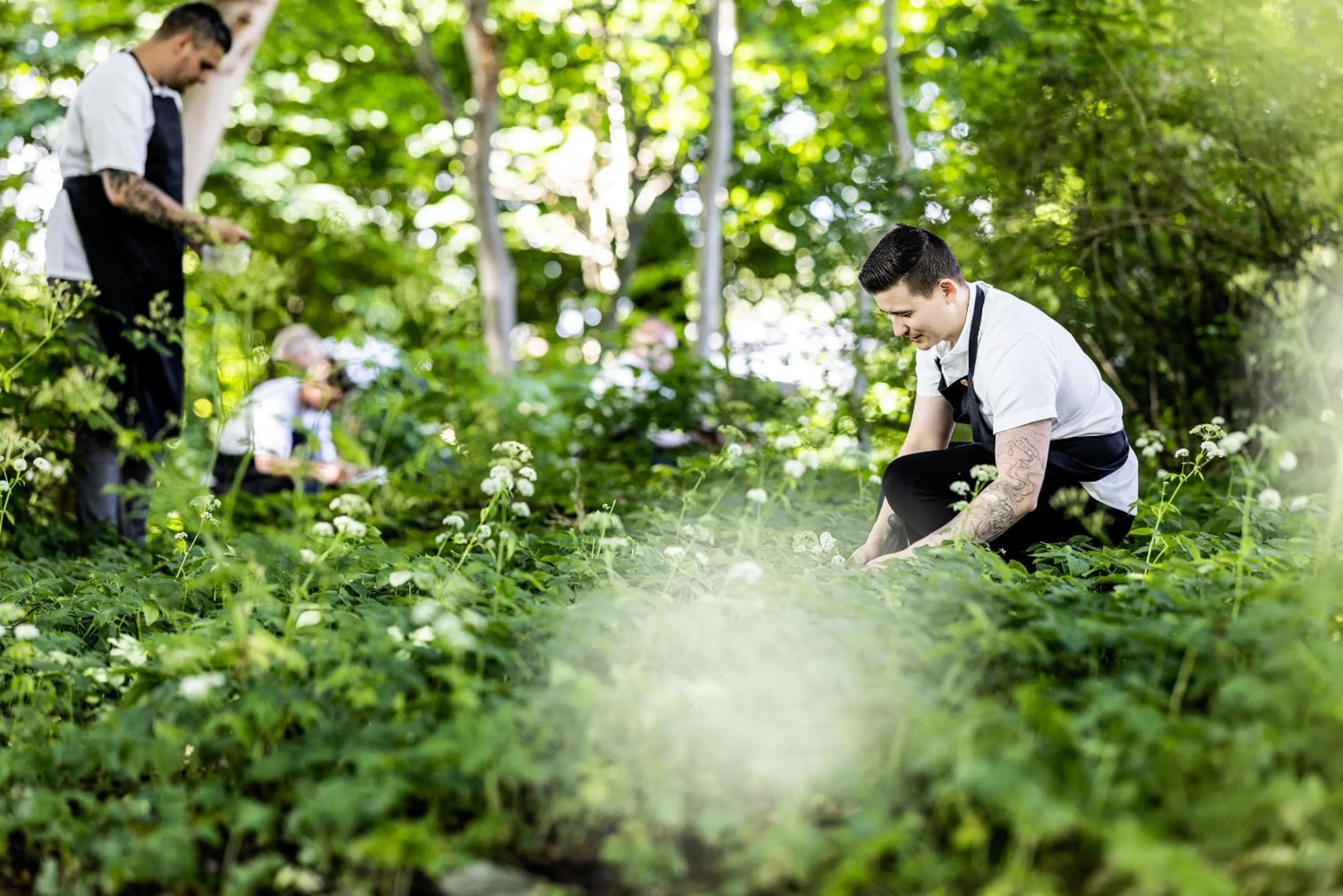 Staff in Hotel Scheelsminde