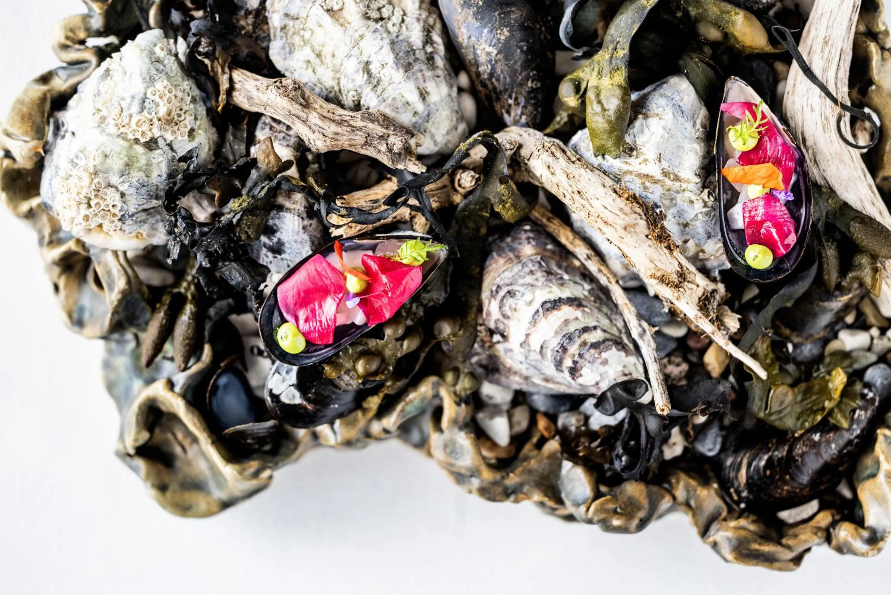 Food in Hotel Scheelsminde