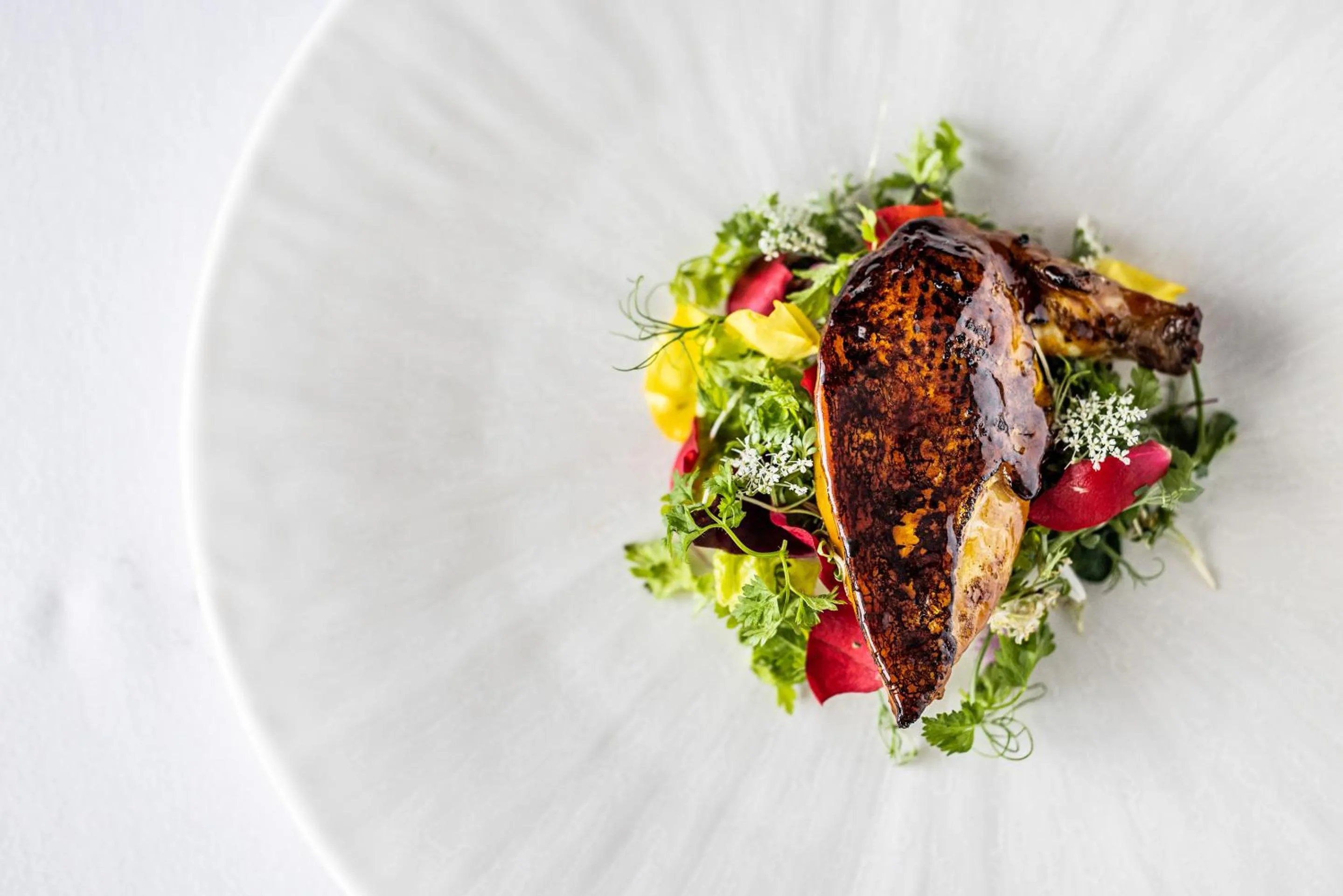 Food in Hotel Scheelsminde