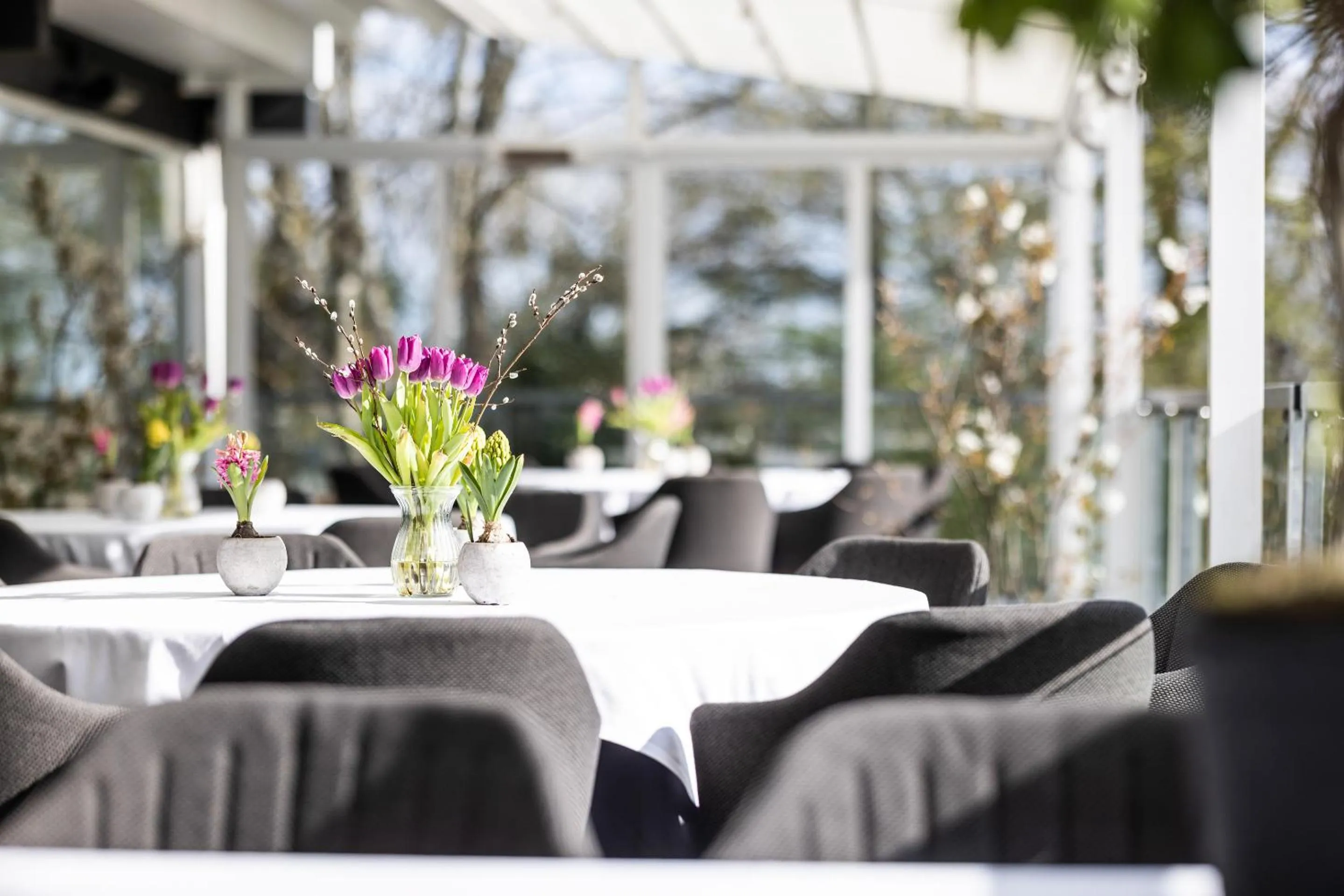 Balcony/Terrace in Hotel Scheelsminde