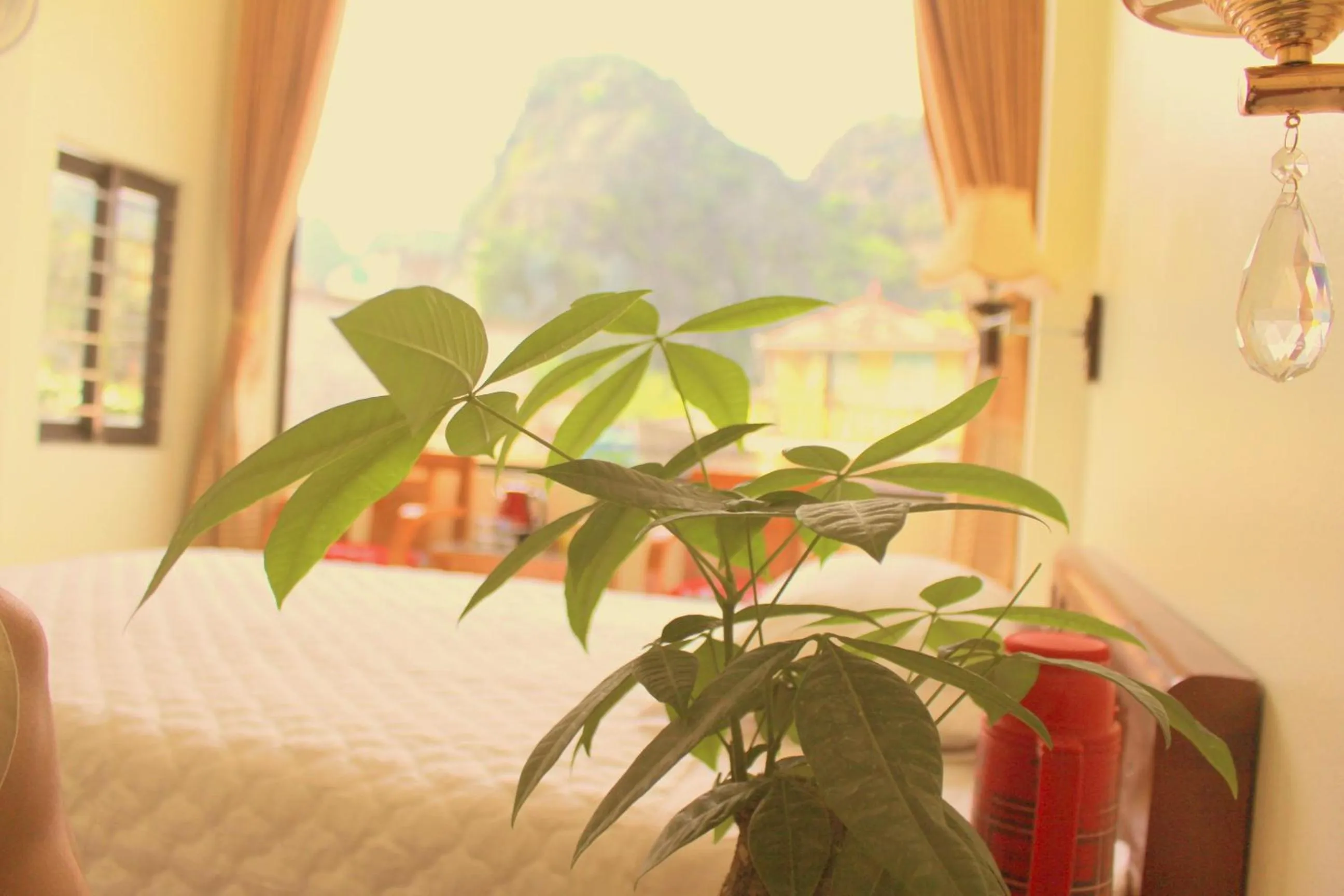 Decorative detail, Bed in Sierra Homestay