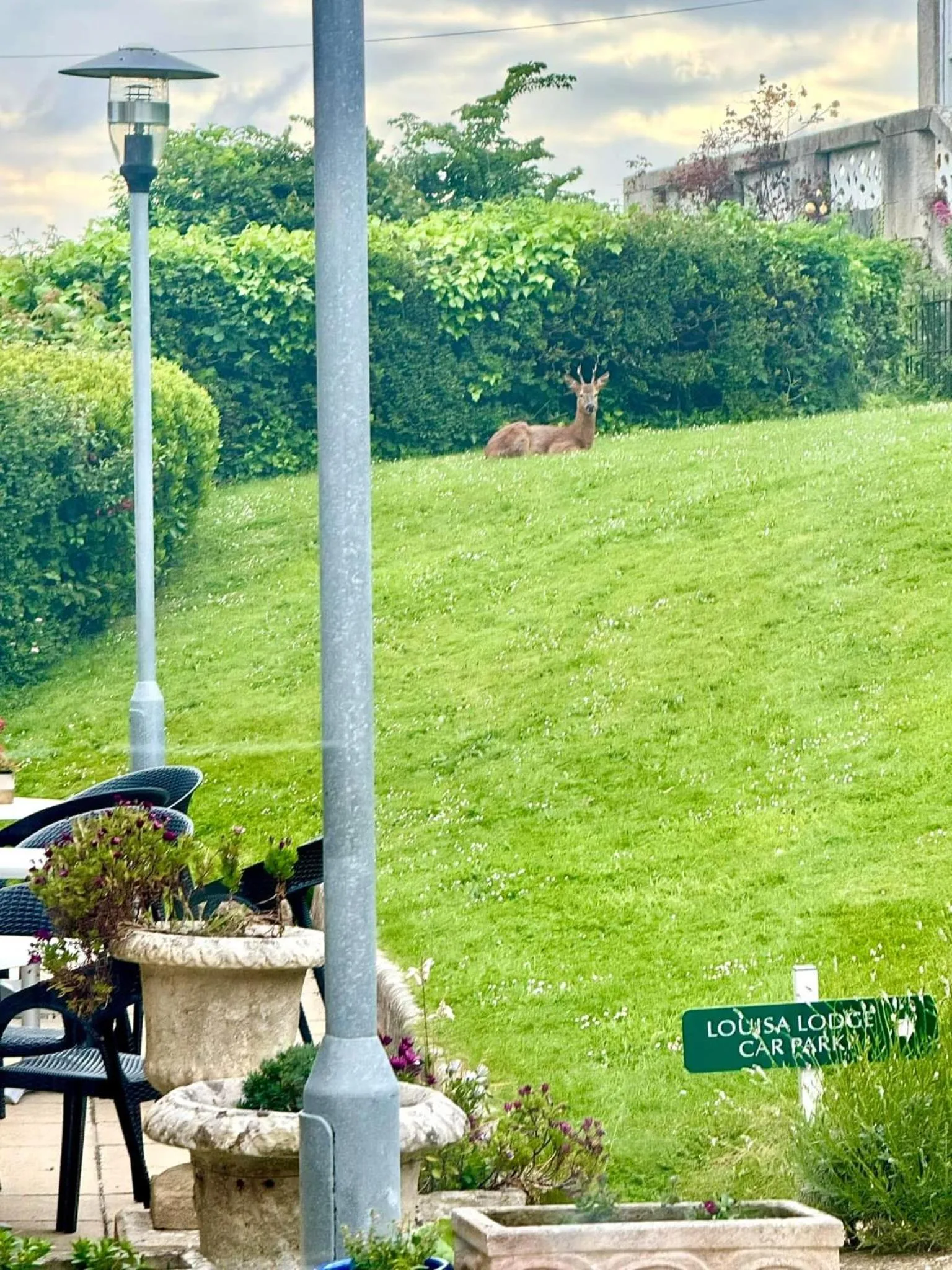 Louisa Lodge & Purbeck House Hotel