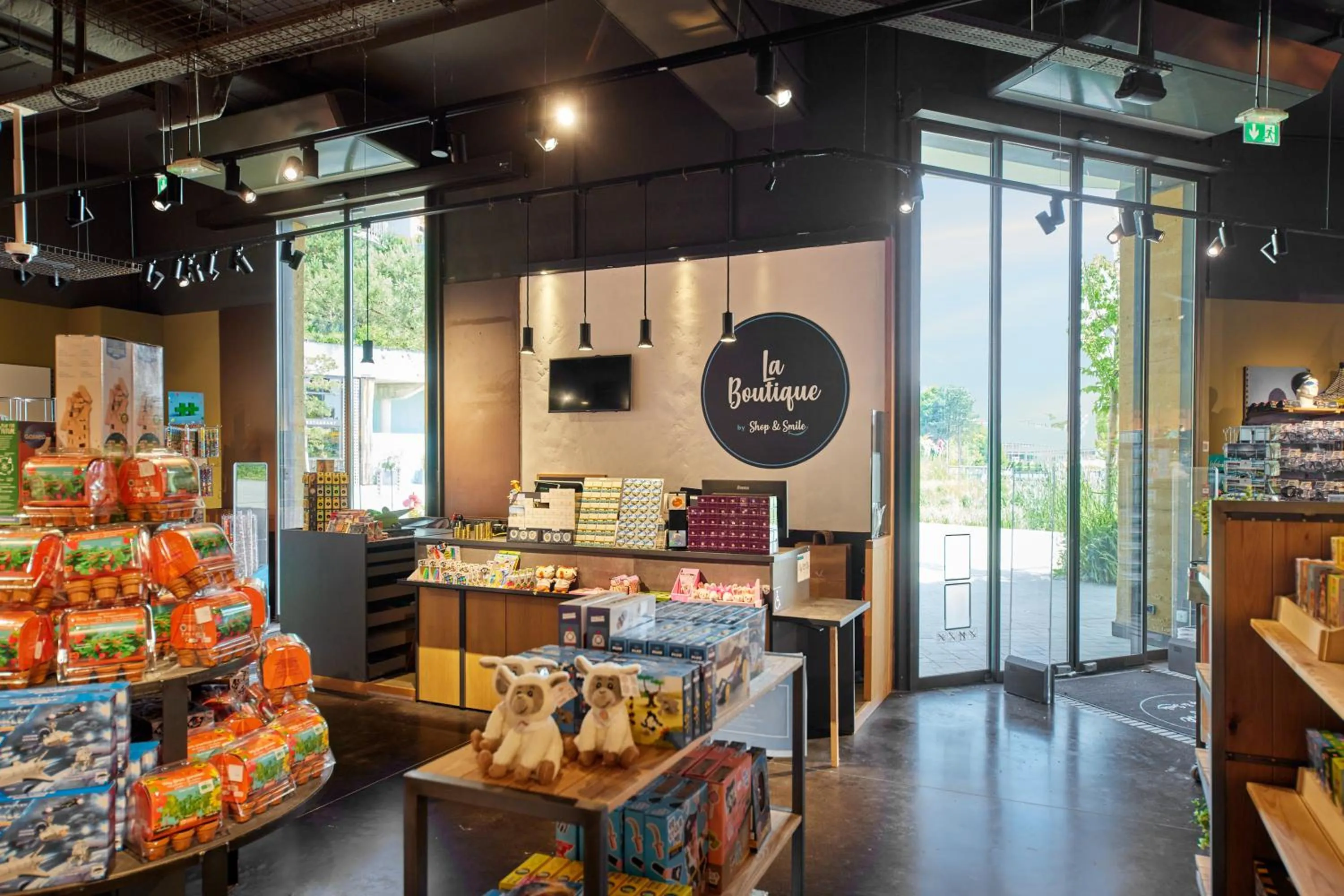 Kitchen or kitchenette in Center Parcs Villages Nature Paris