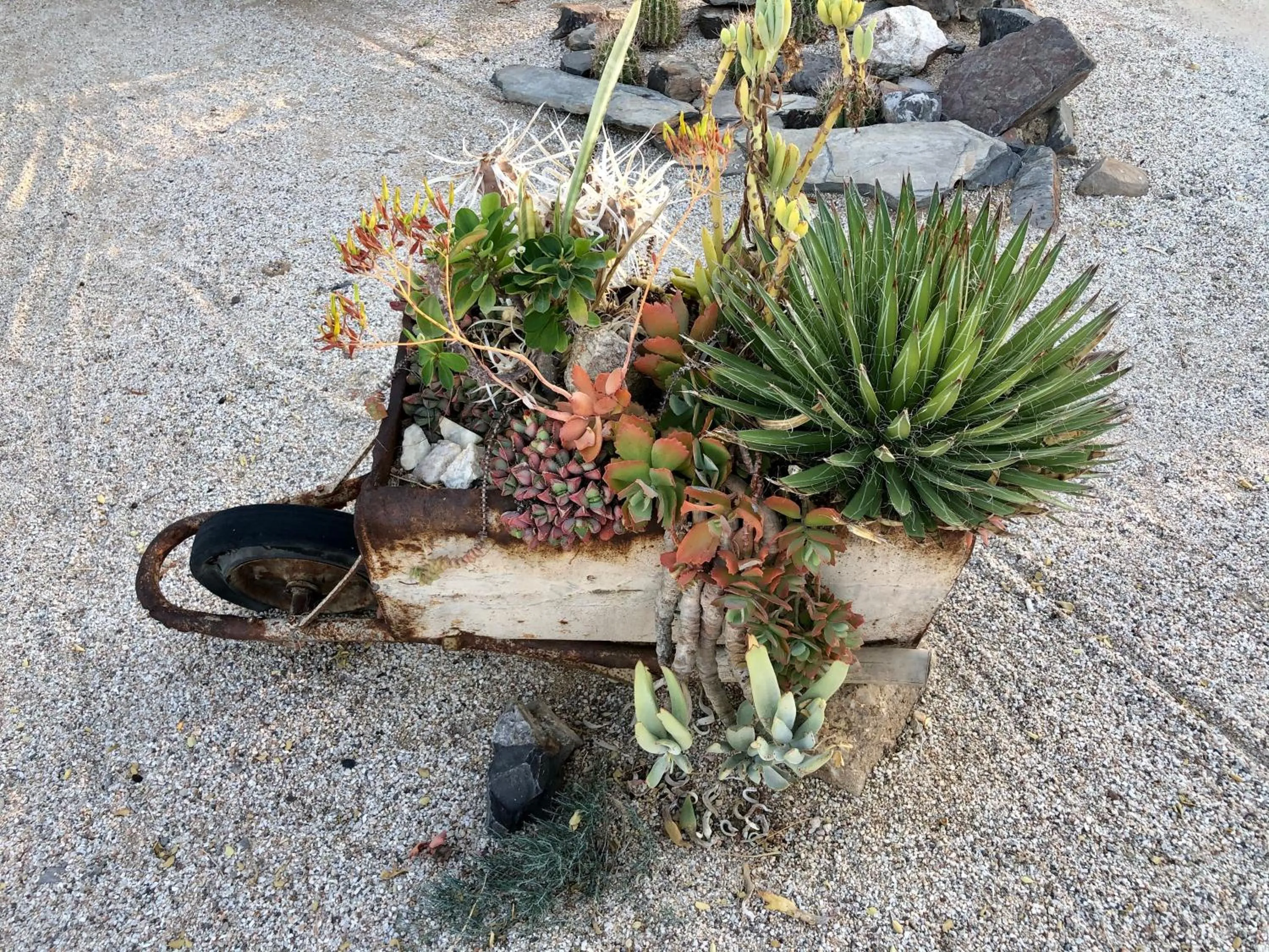 Restaurant/places to eat in Daureb Isib Campsite and B&B