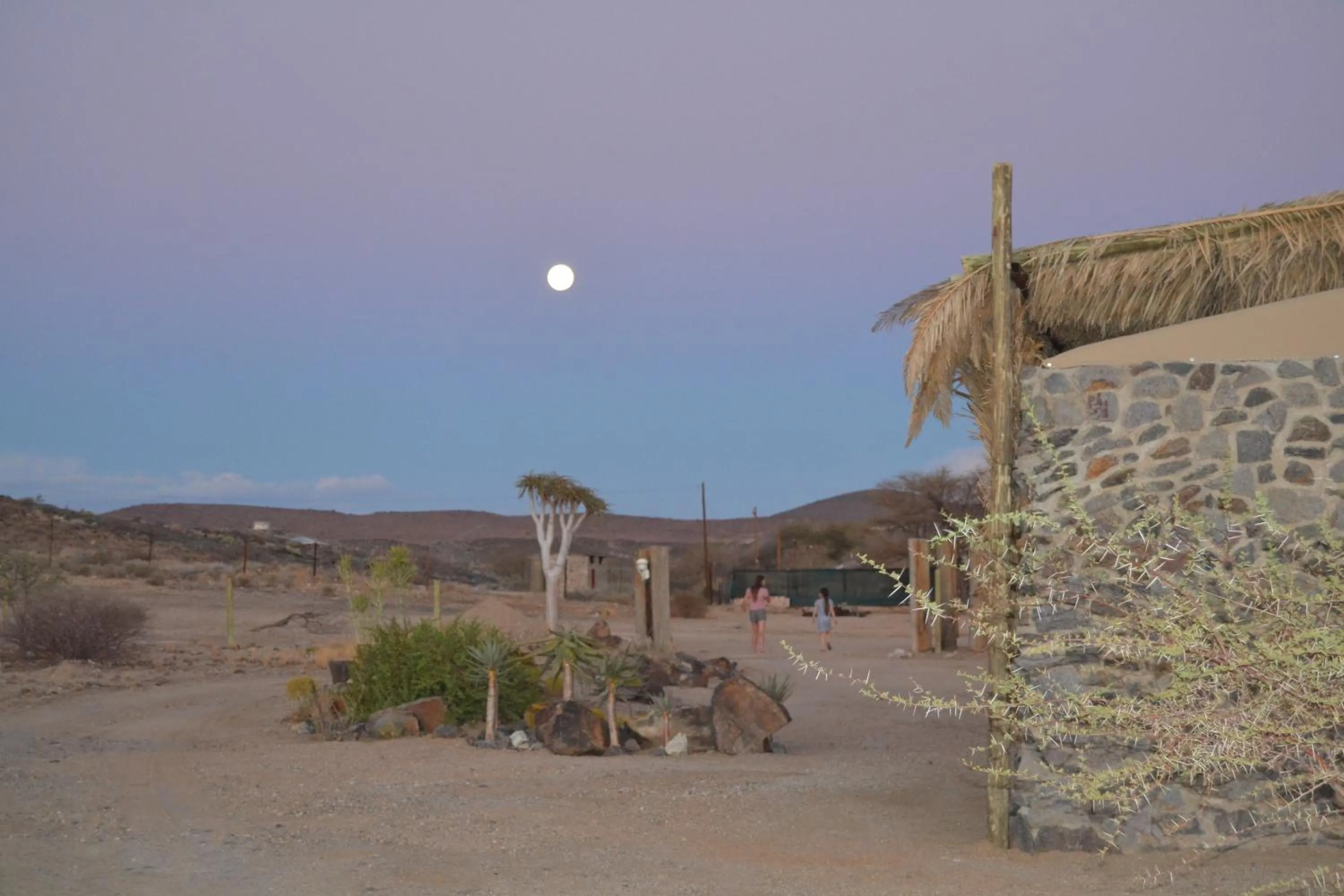 Daureb Isib Campsite and B&B