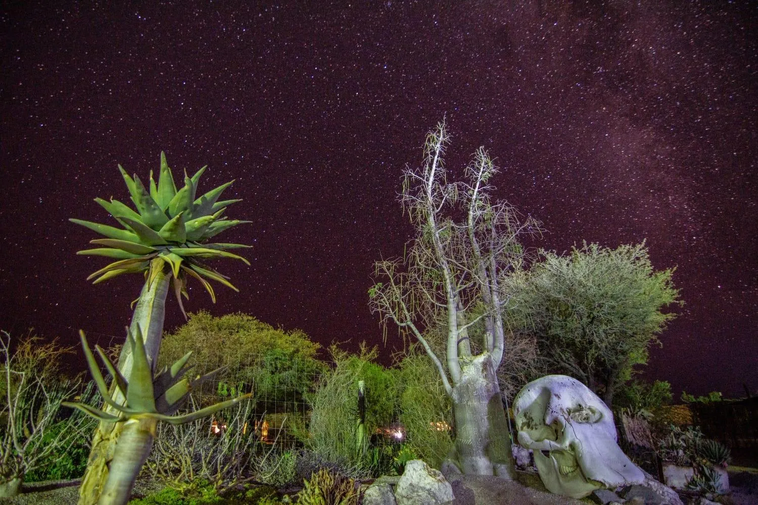Natural landscape in Daureb Isib Campsite and B&B