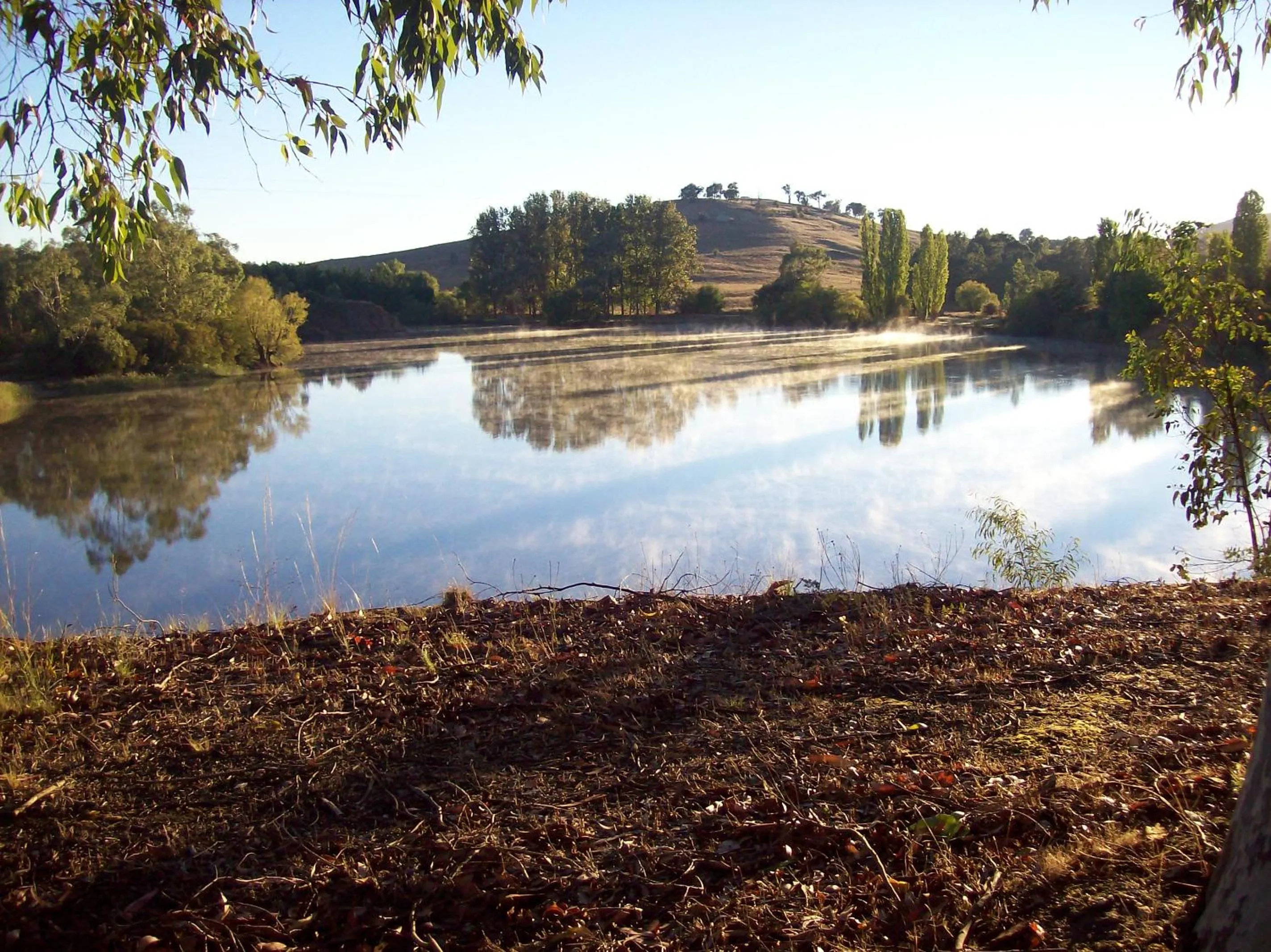Area and facilities in Colonial Inn Guest Rooms