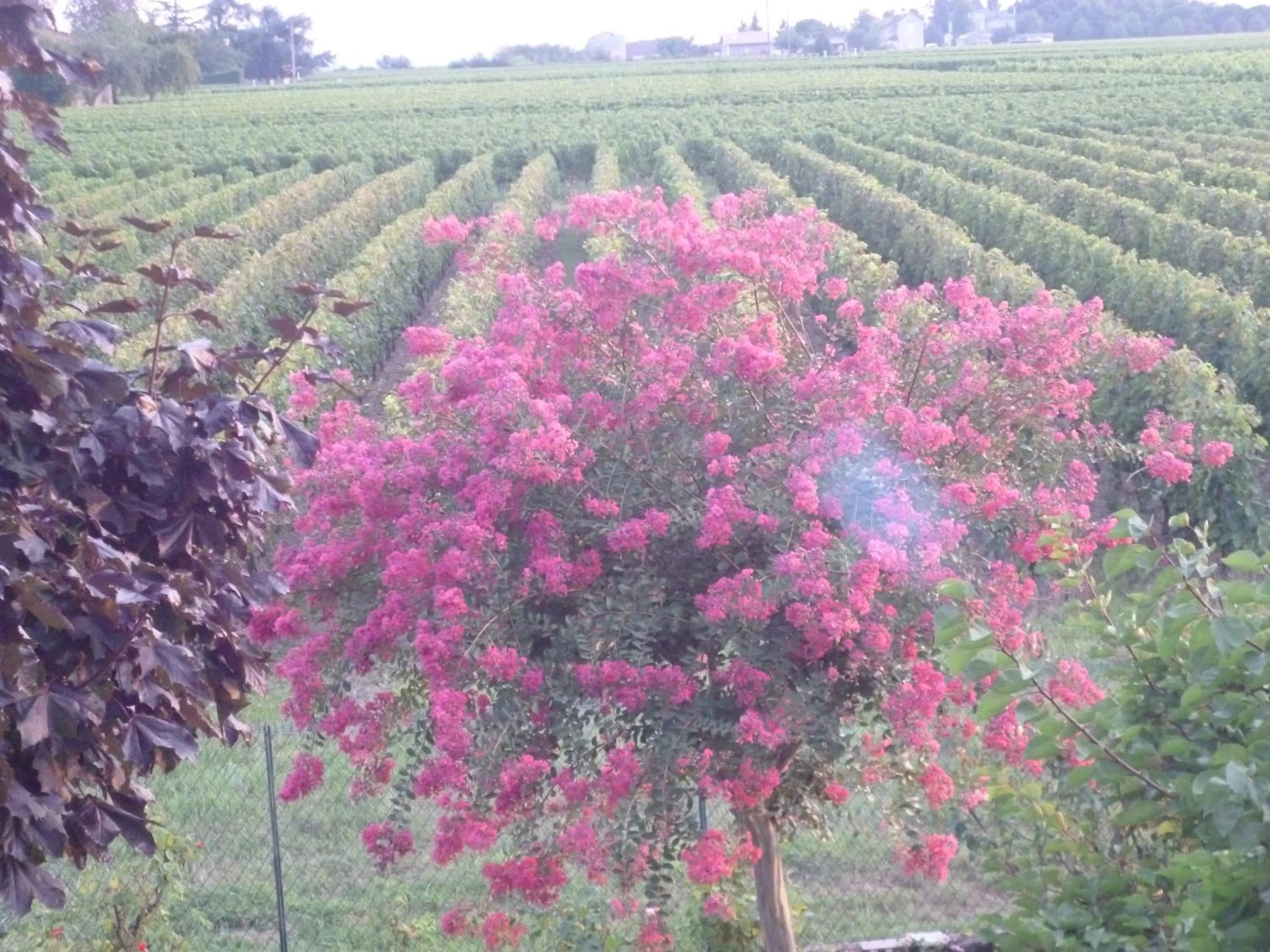 Landmark view in Le Clos des Rosiers
