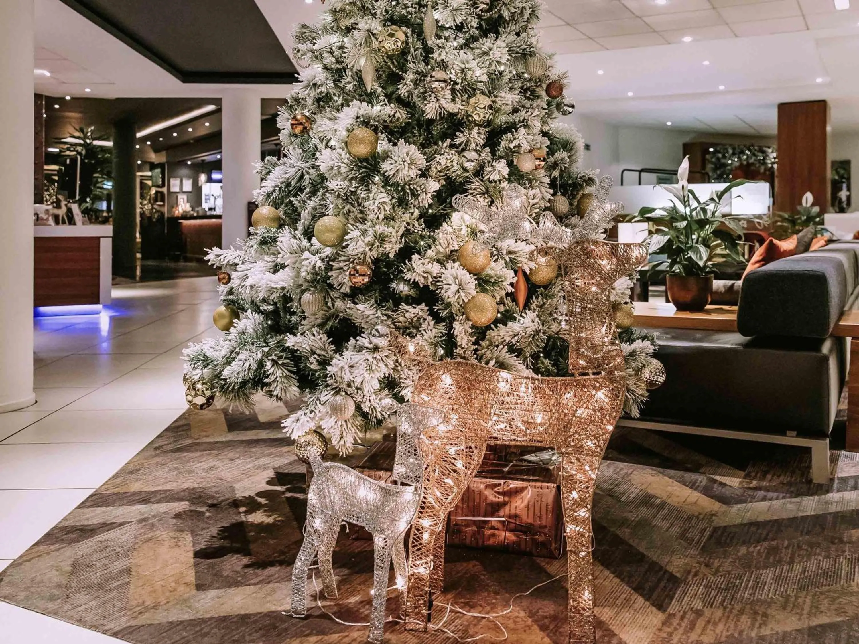 Other in Novotel Sheffield Centre