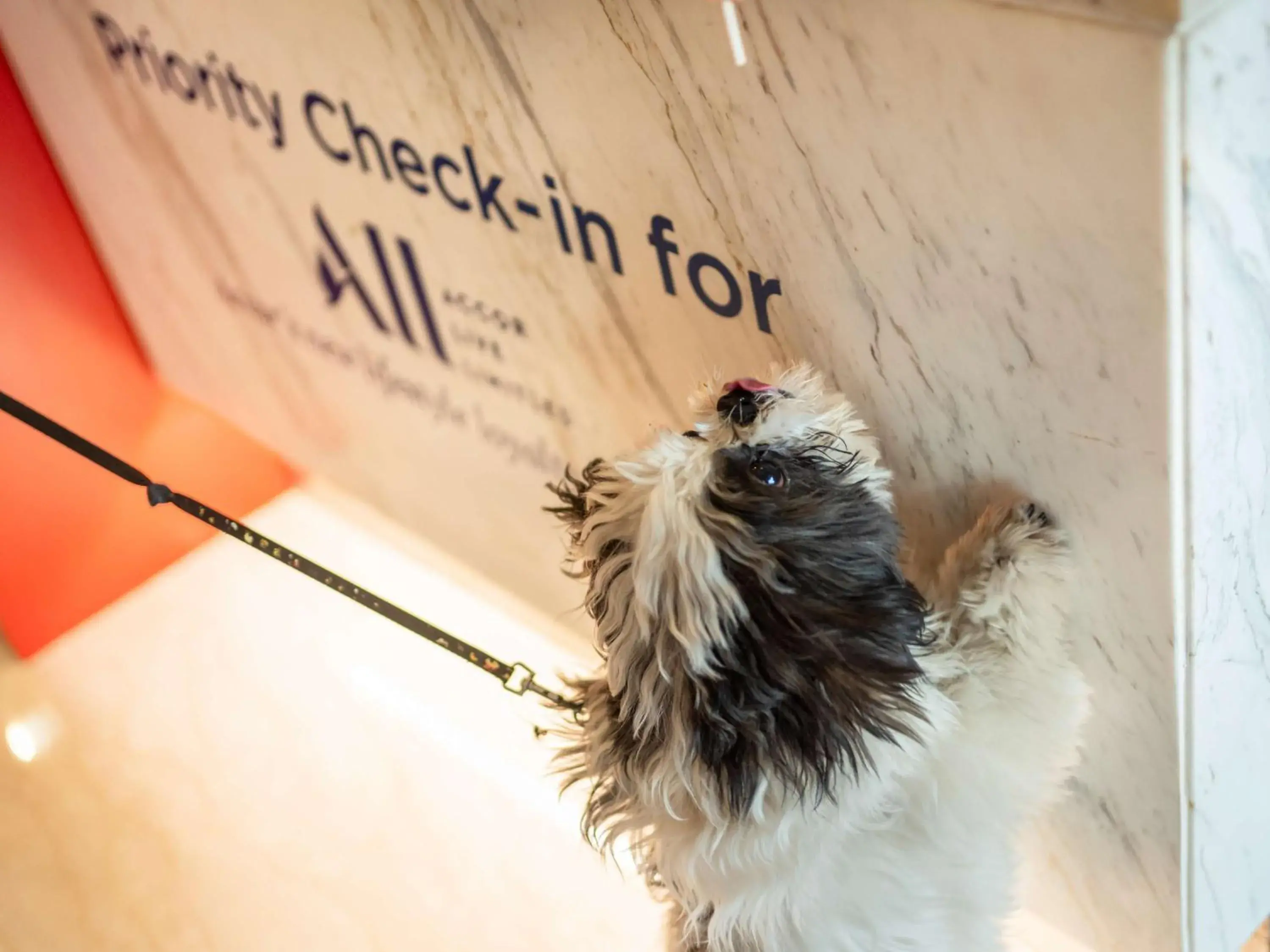 Property building in ibis London Excel-Docklands Property building in ibis London Excel-Docklands