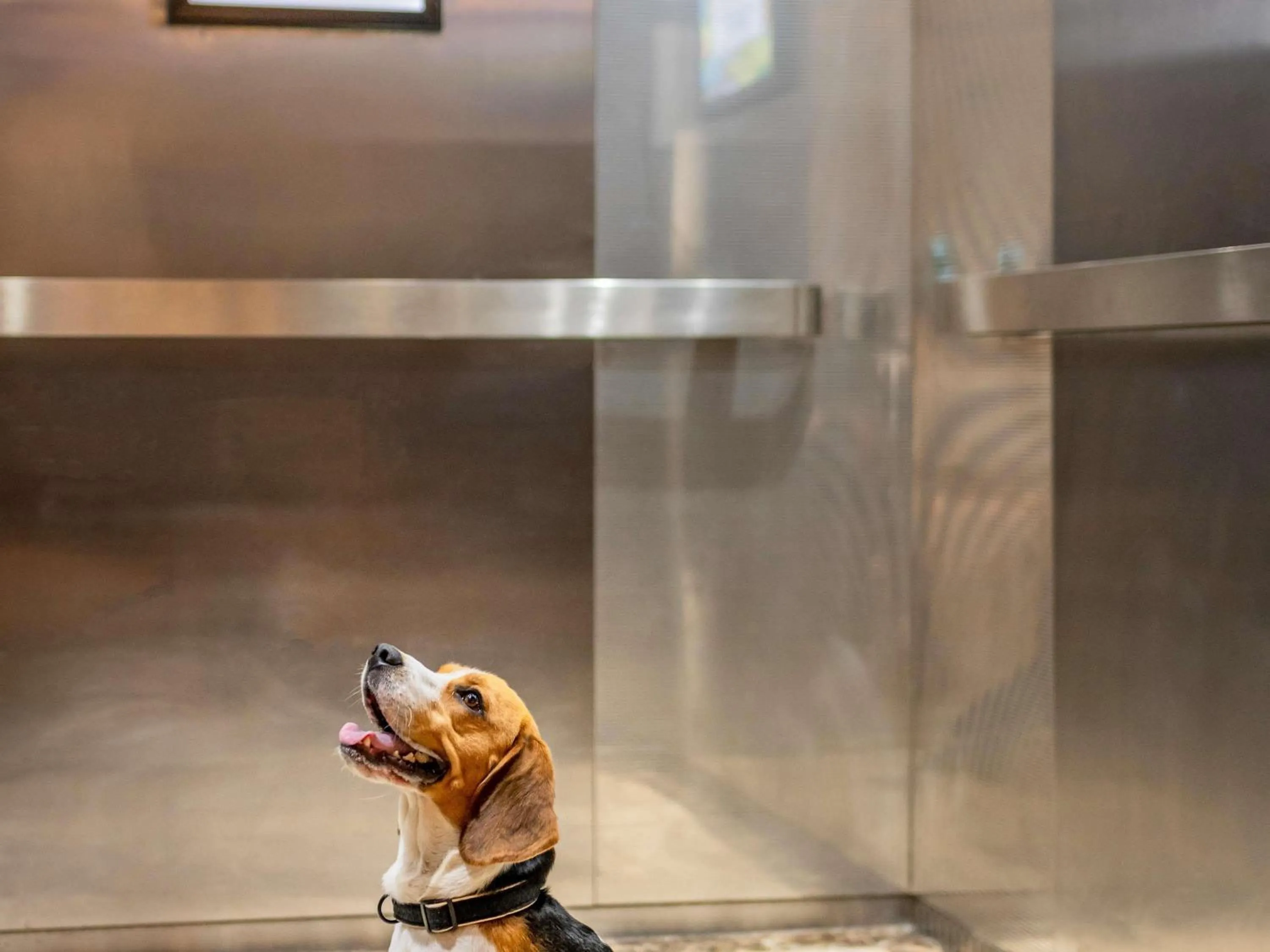 Other in ibis London Excel-Docklands