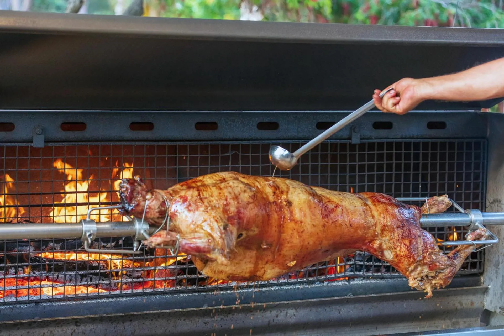 Restaurant/places to eat in Hotel Le Ruesco