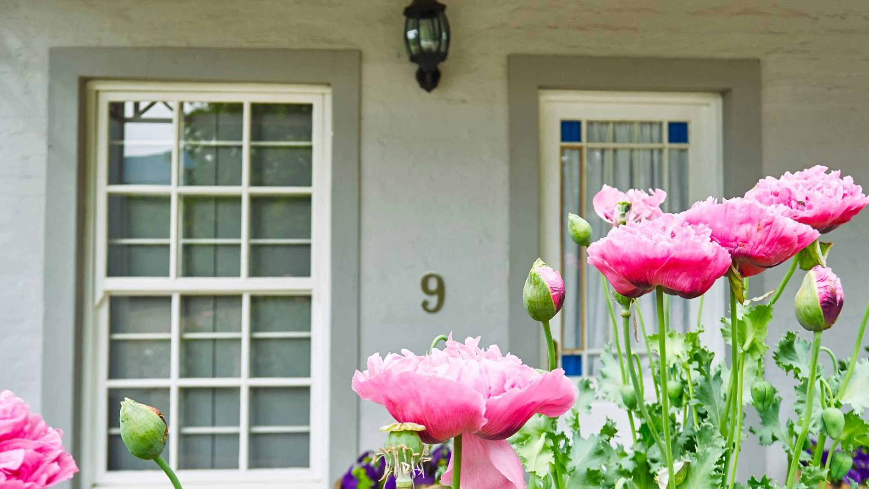 Day in Highland Quarters