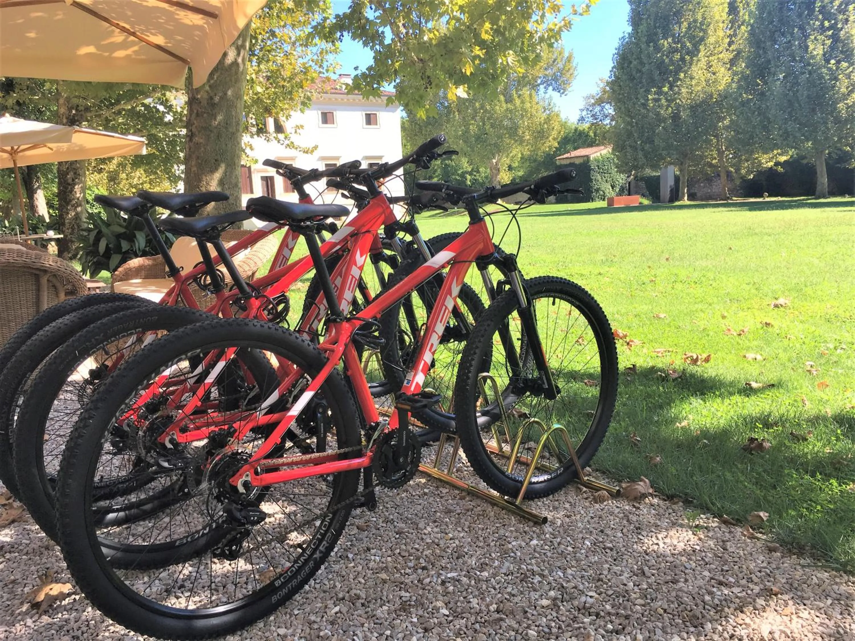 Activities in La Barchessa di Villa Pisani