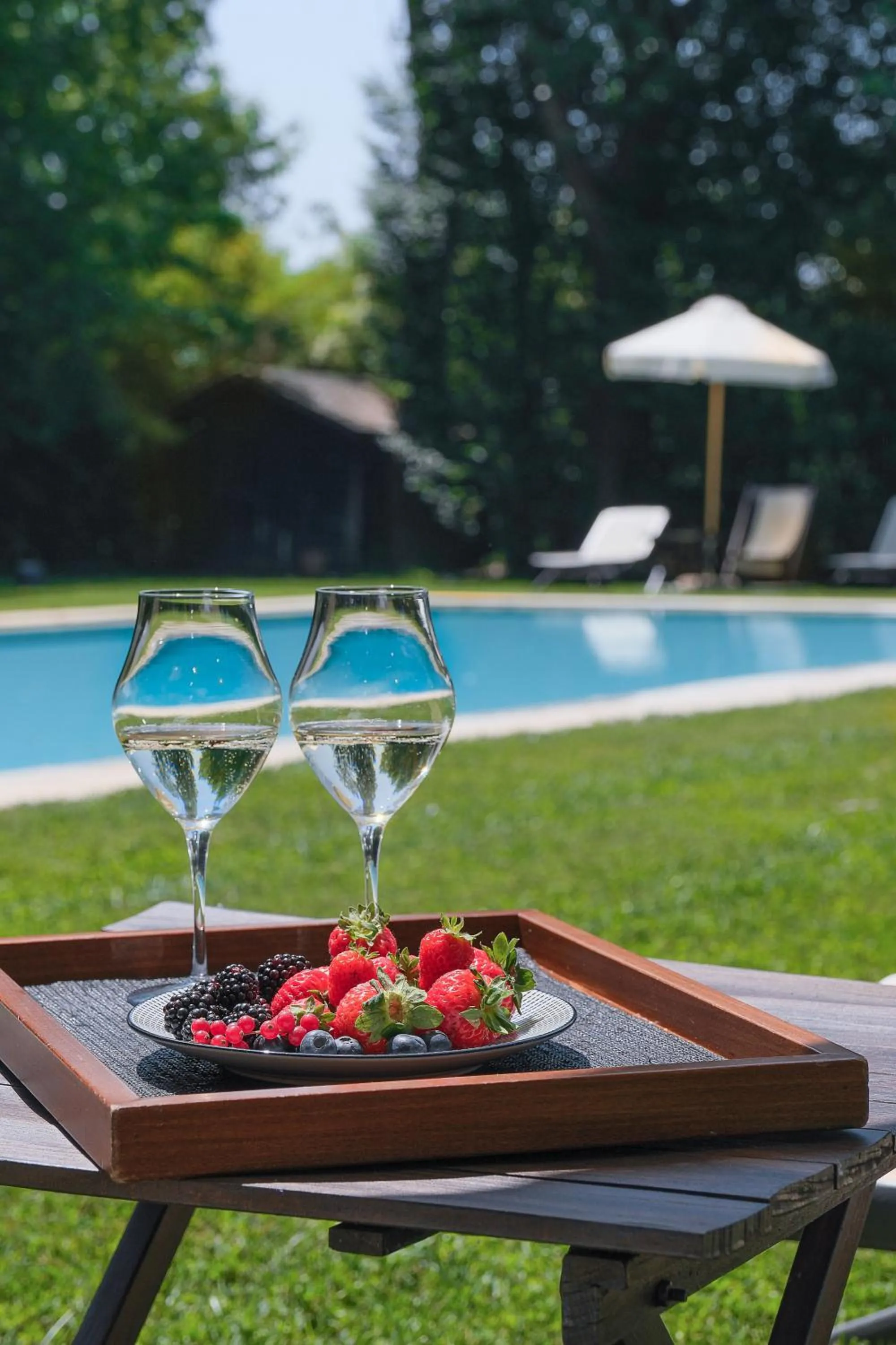 Swimming pool in La Barchessa di Villa Pisani