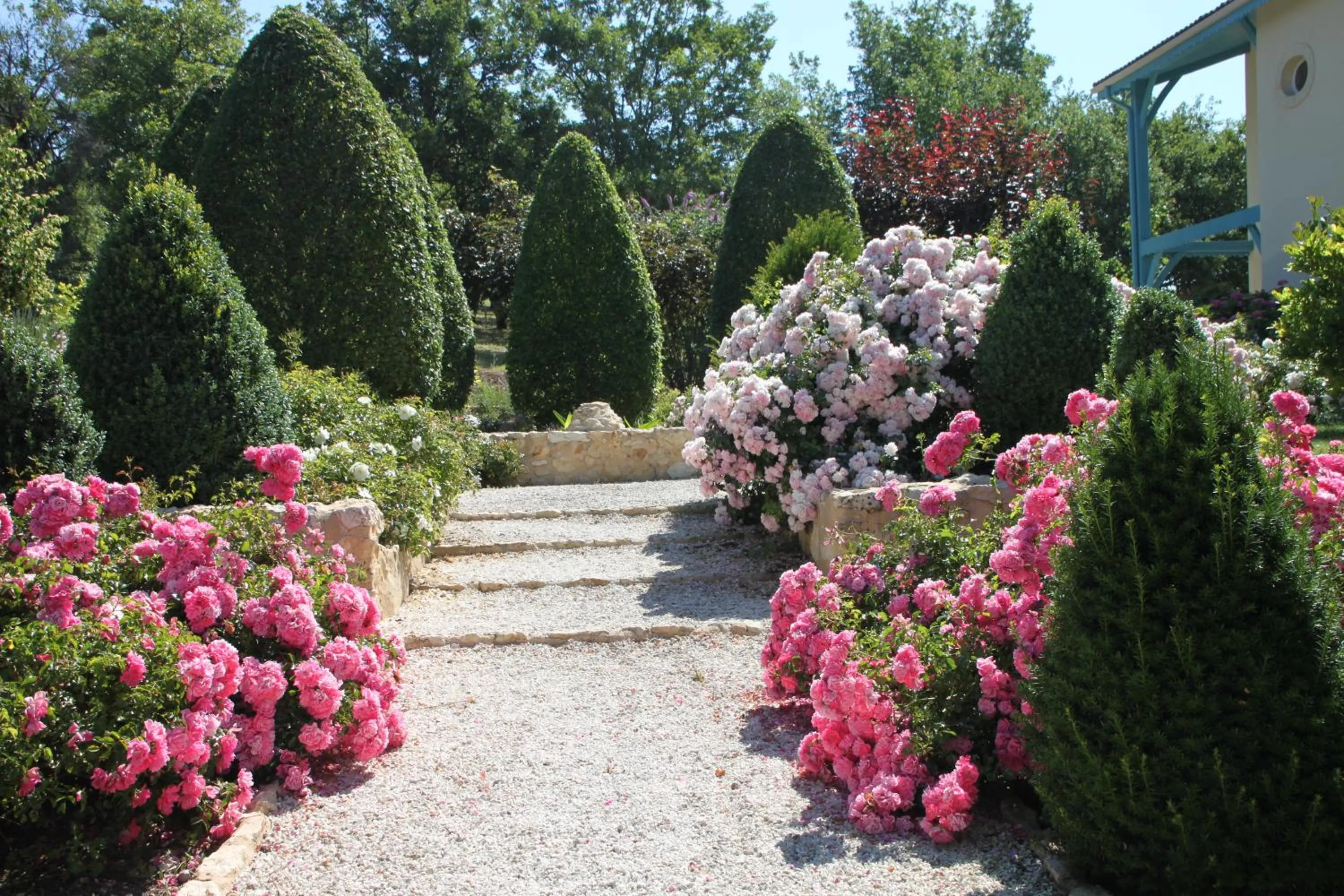 Area and facilities in Maison Olea