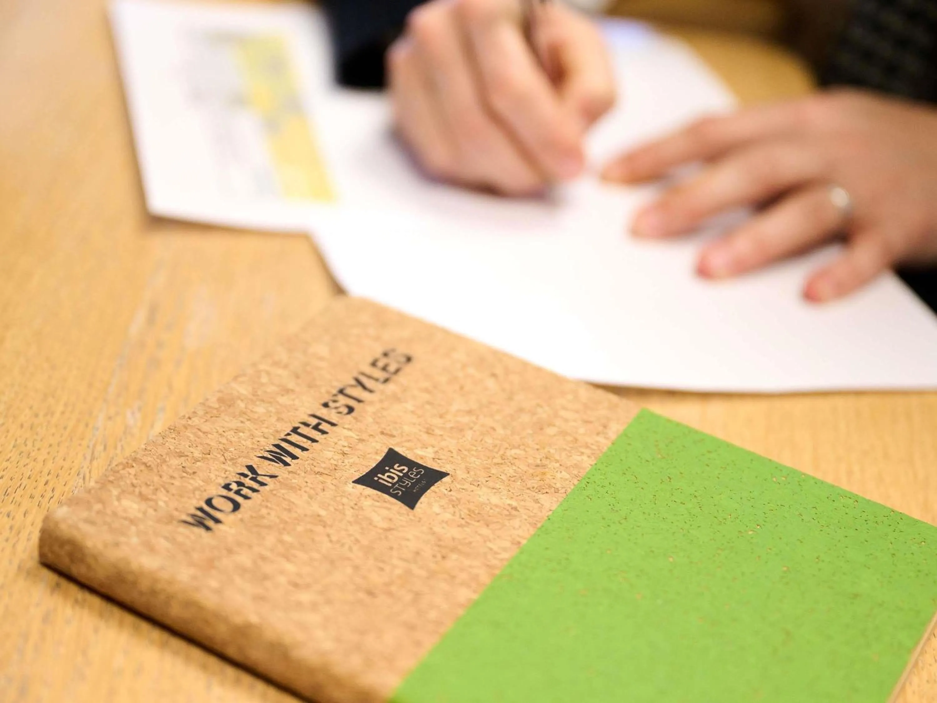 Meeting/conference room in ibis Styles Bordeaux Begles Arena