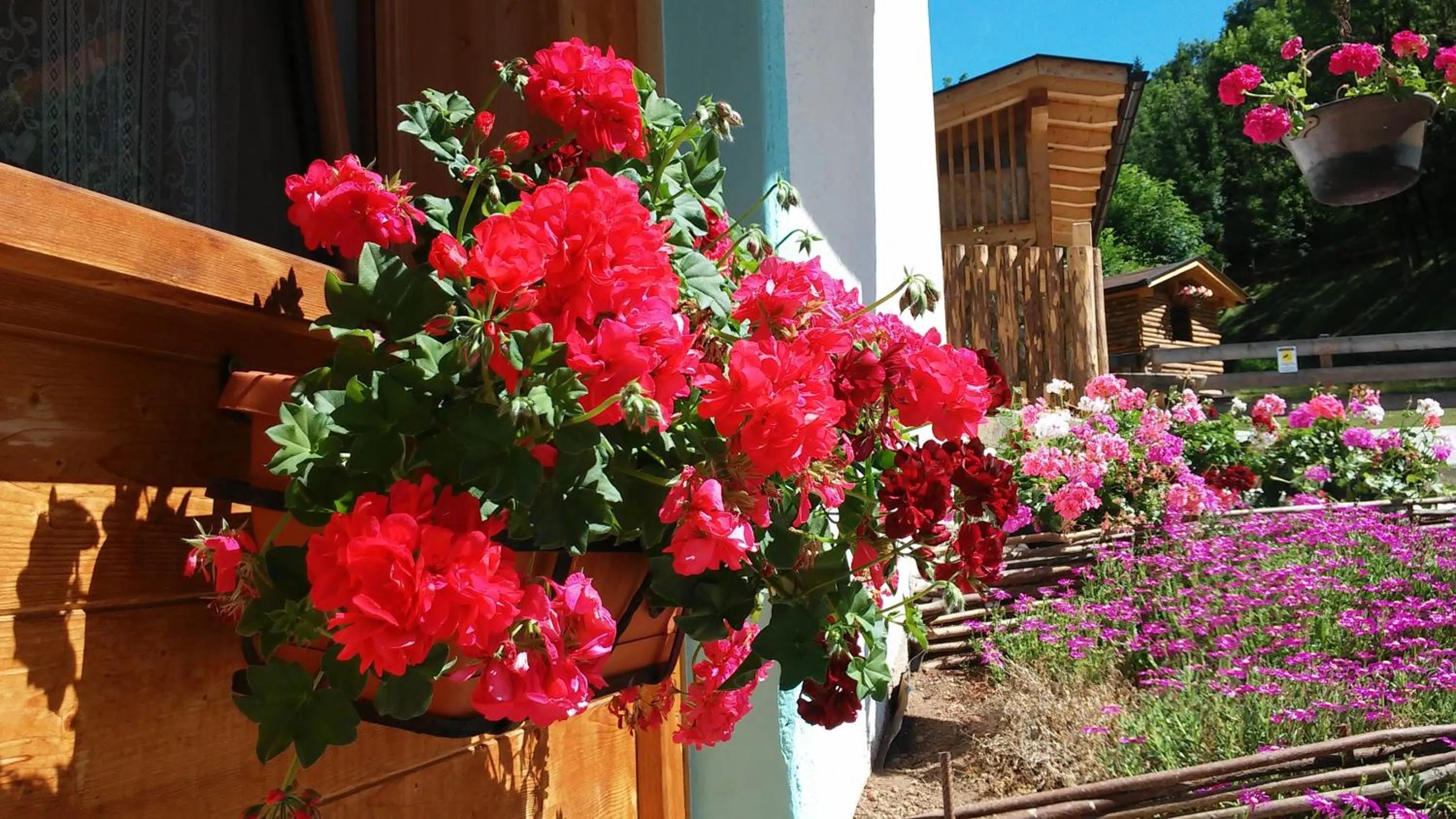 B&B El Molin
