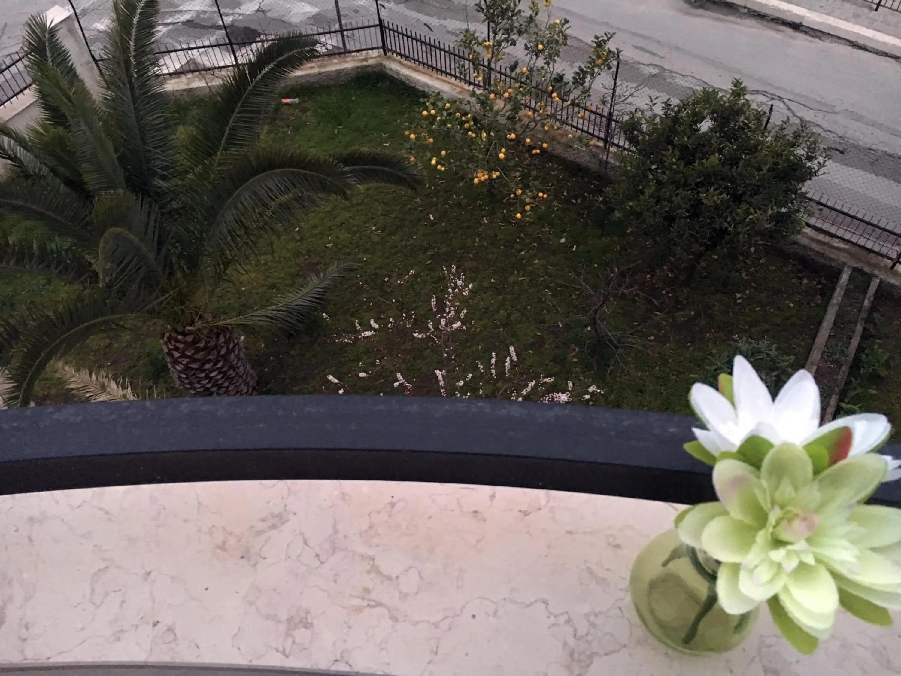 Garden view in B&B Rossini