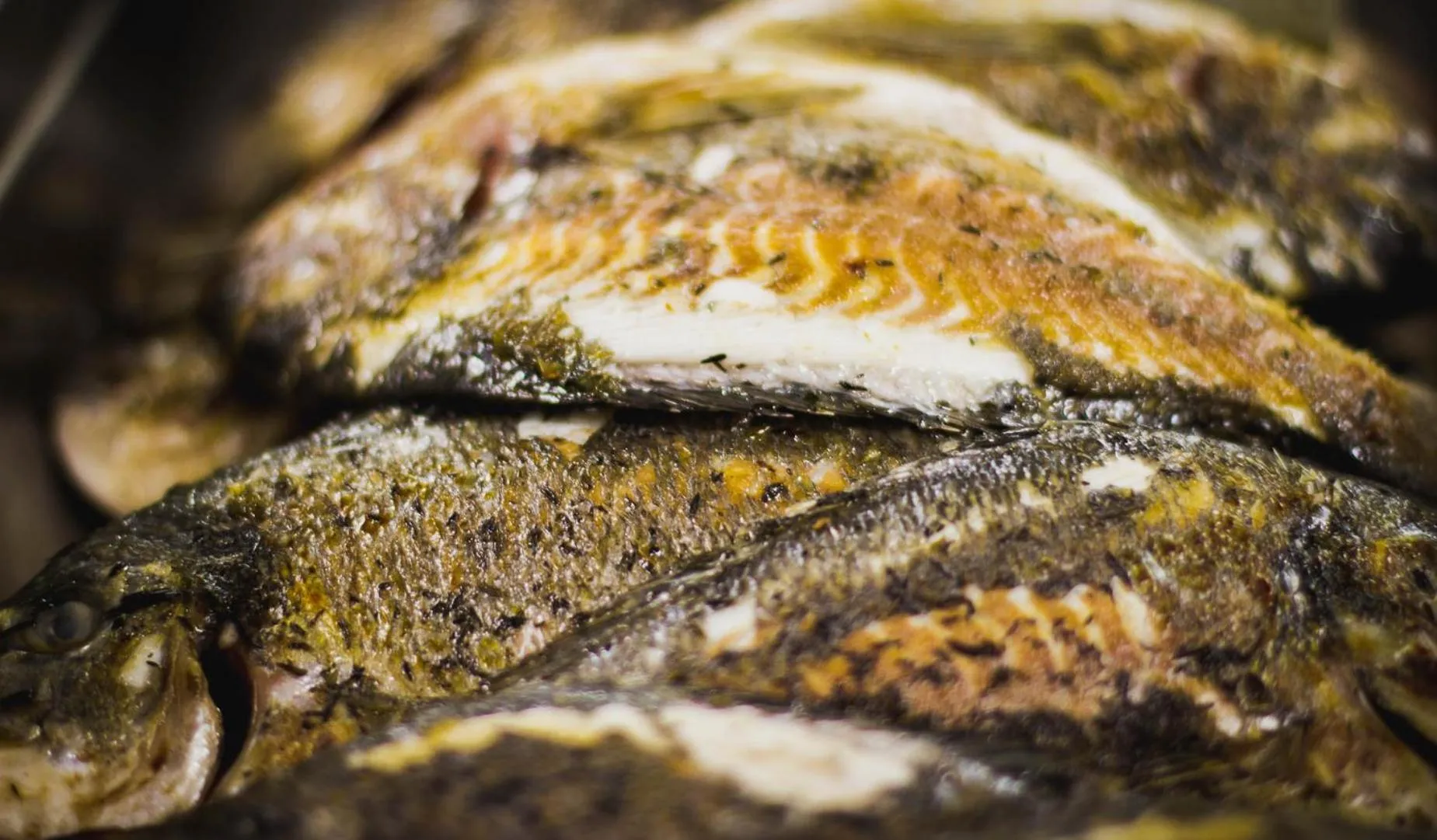 BBQ facilities in Logis Hotel Lons-le-Saunier - Restaurant Le Grill