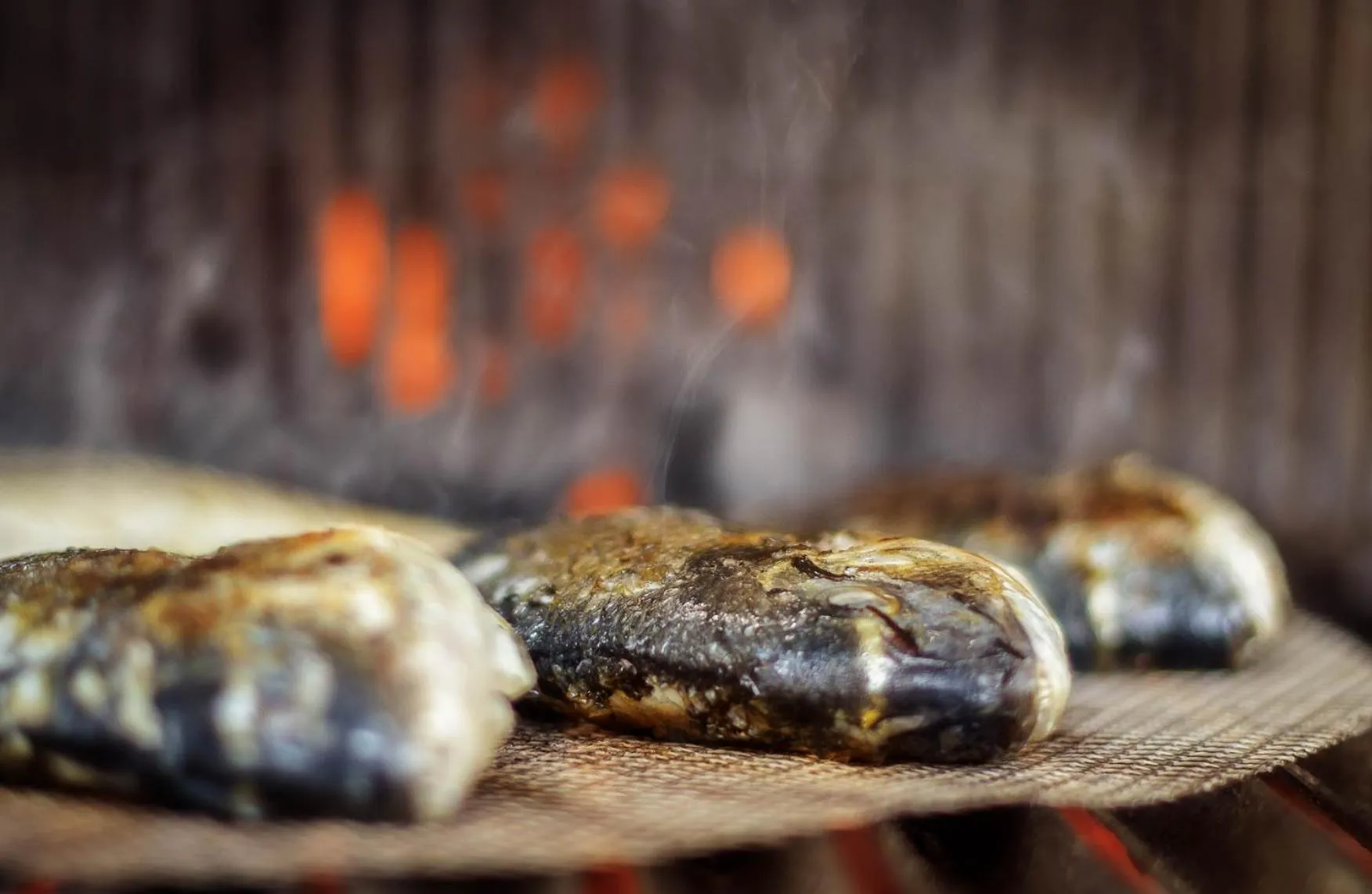 BBQ facilities in Logis Hotel Lons-le-Saunier - Restaurant Le Grill