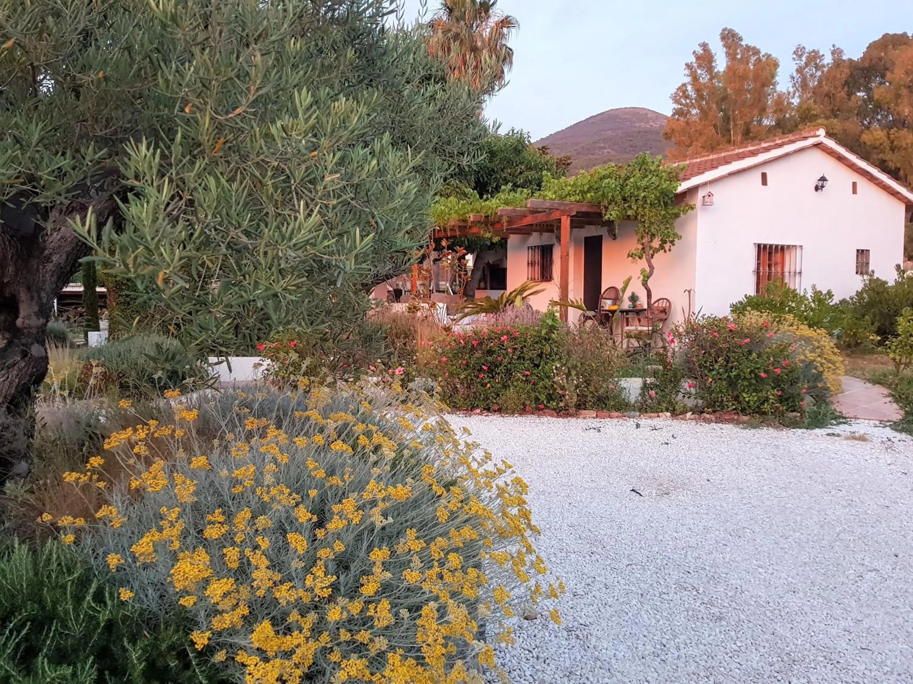Photo of the whole room in Finca Mil Estrellas