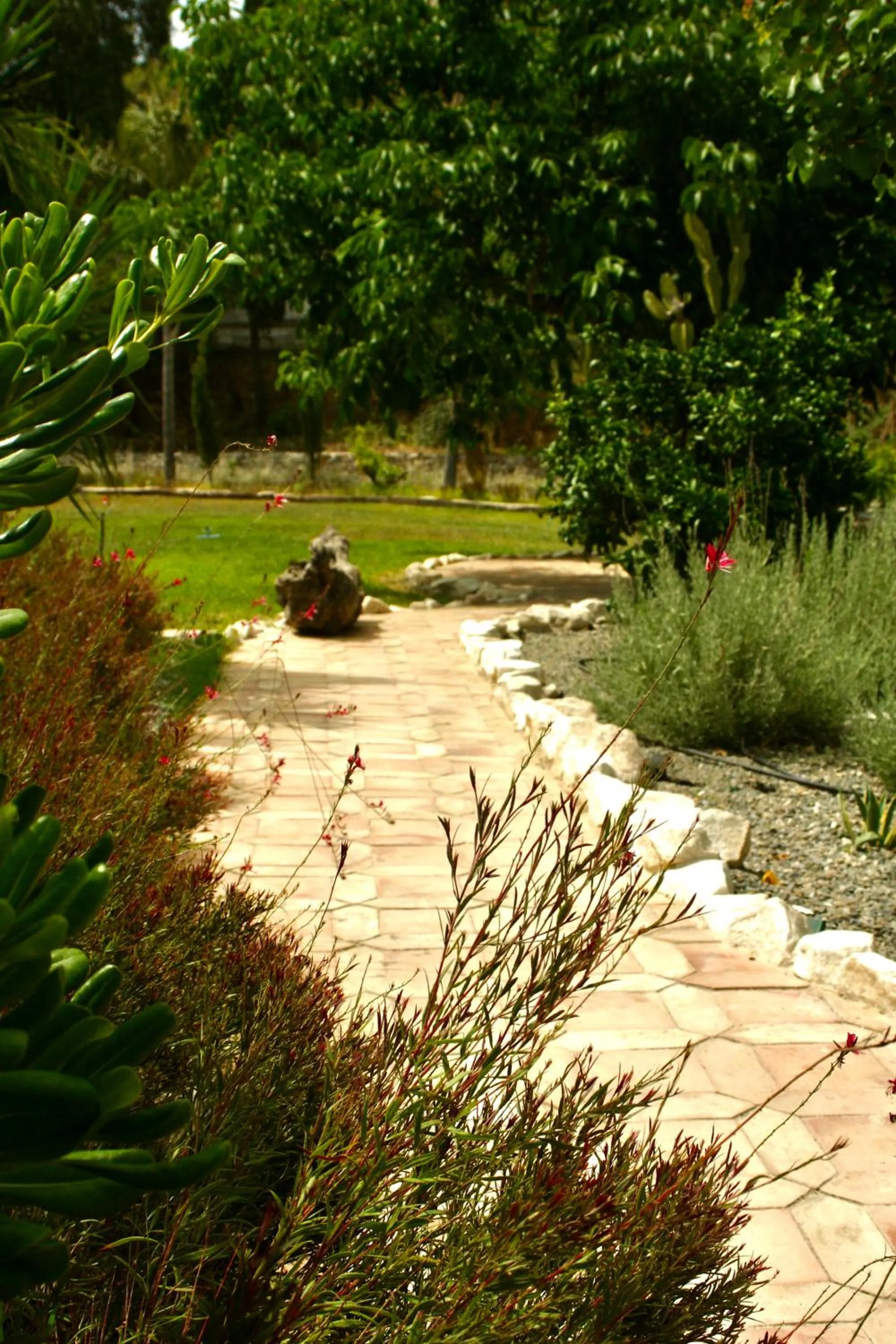 Garden in Finca Mil Estrellas