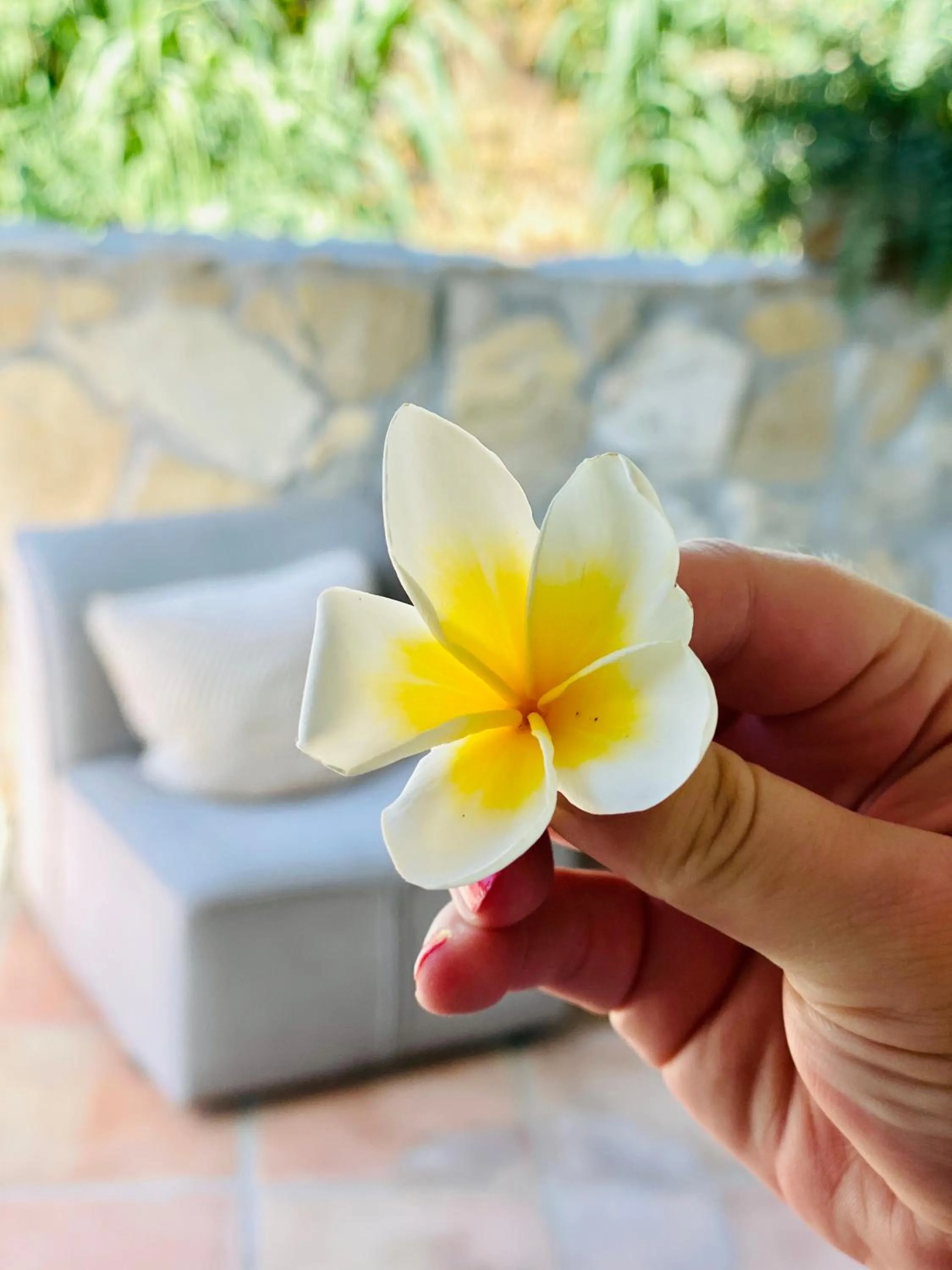 Decorative detail in Finca Mil Estrellas