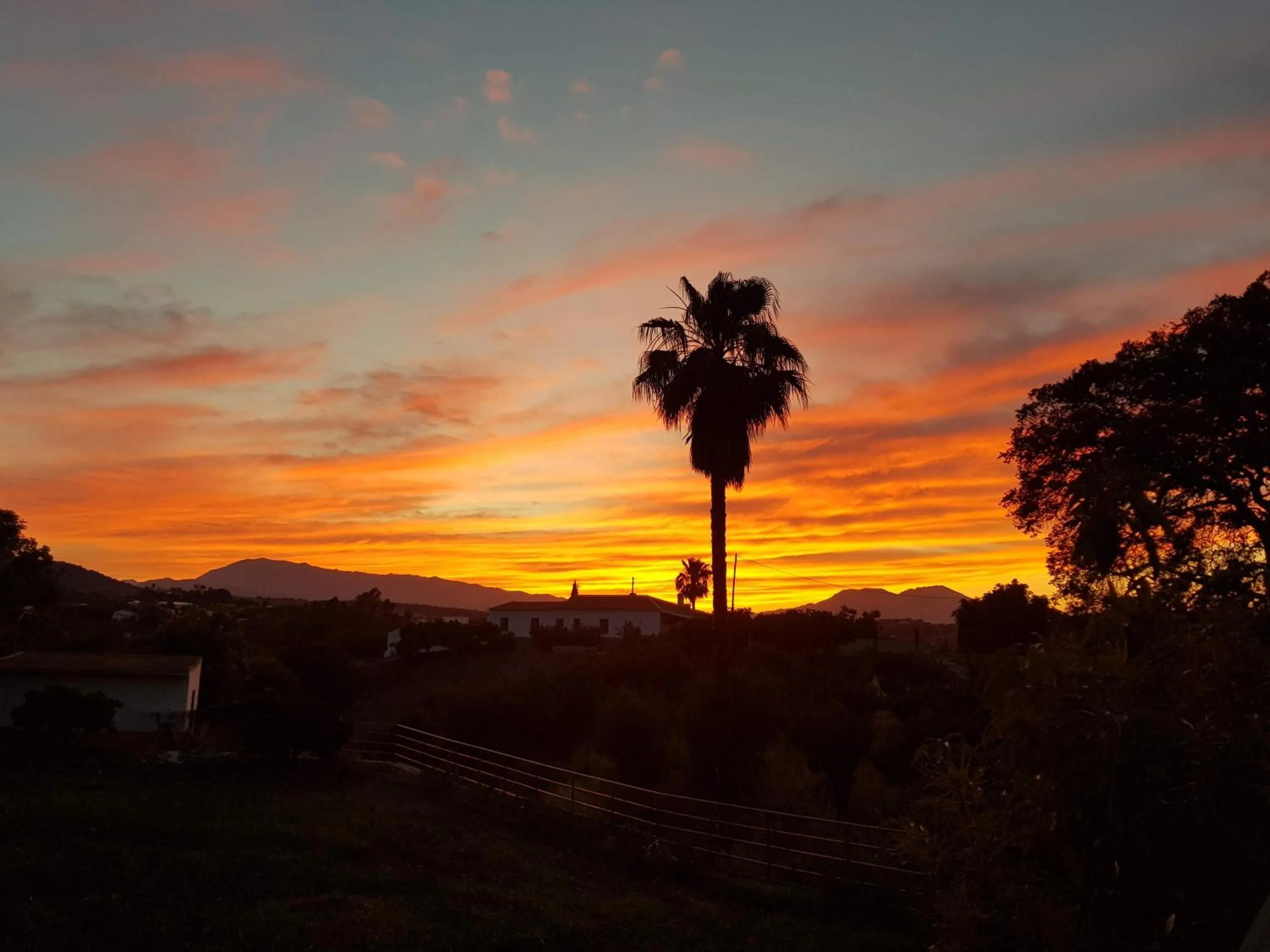 On site in Finca Mil Estrellas