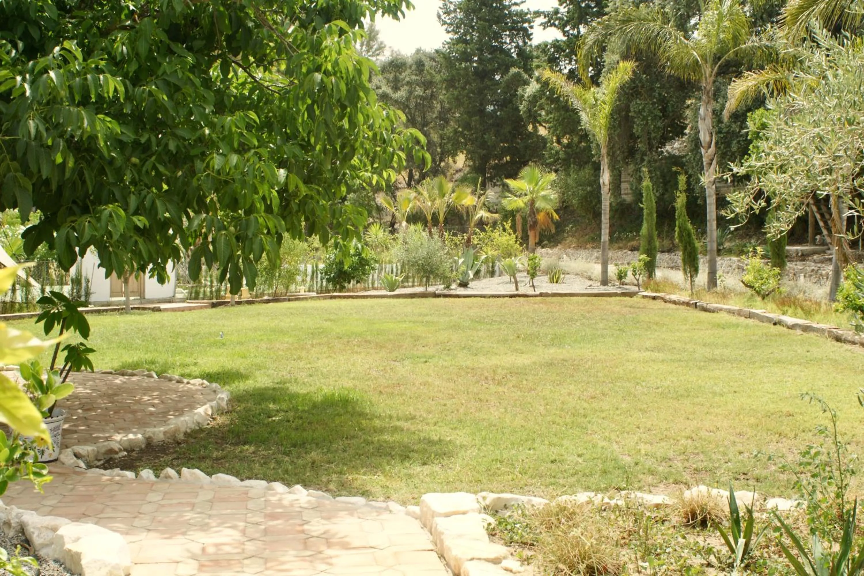 Garden in Finca Mil Estrellas