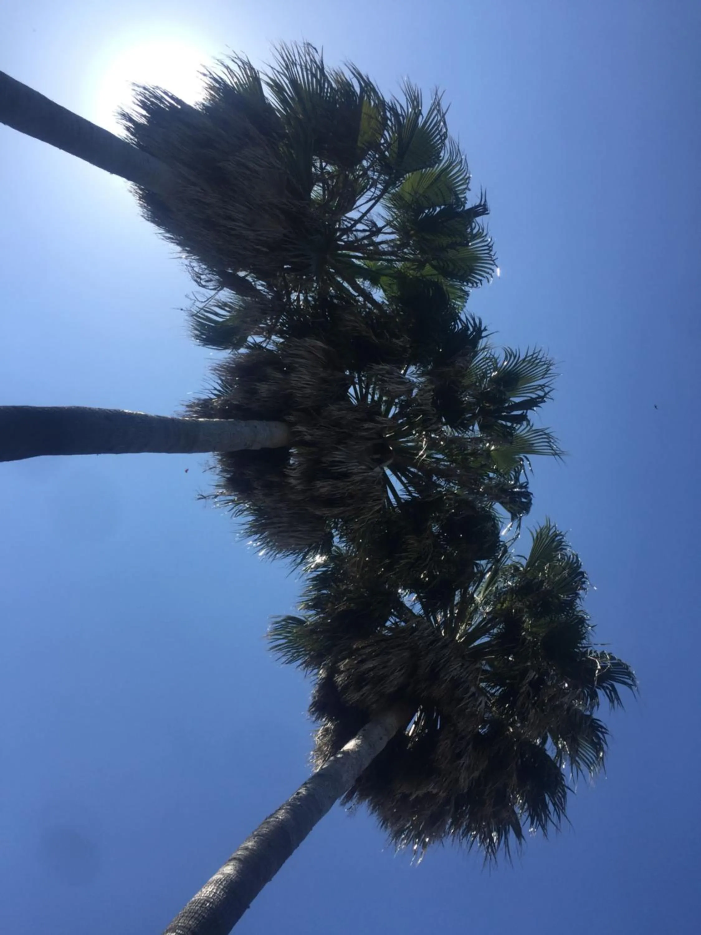 Natural landscape in Finca Mil Estrellas