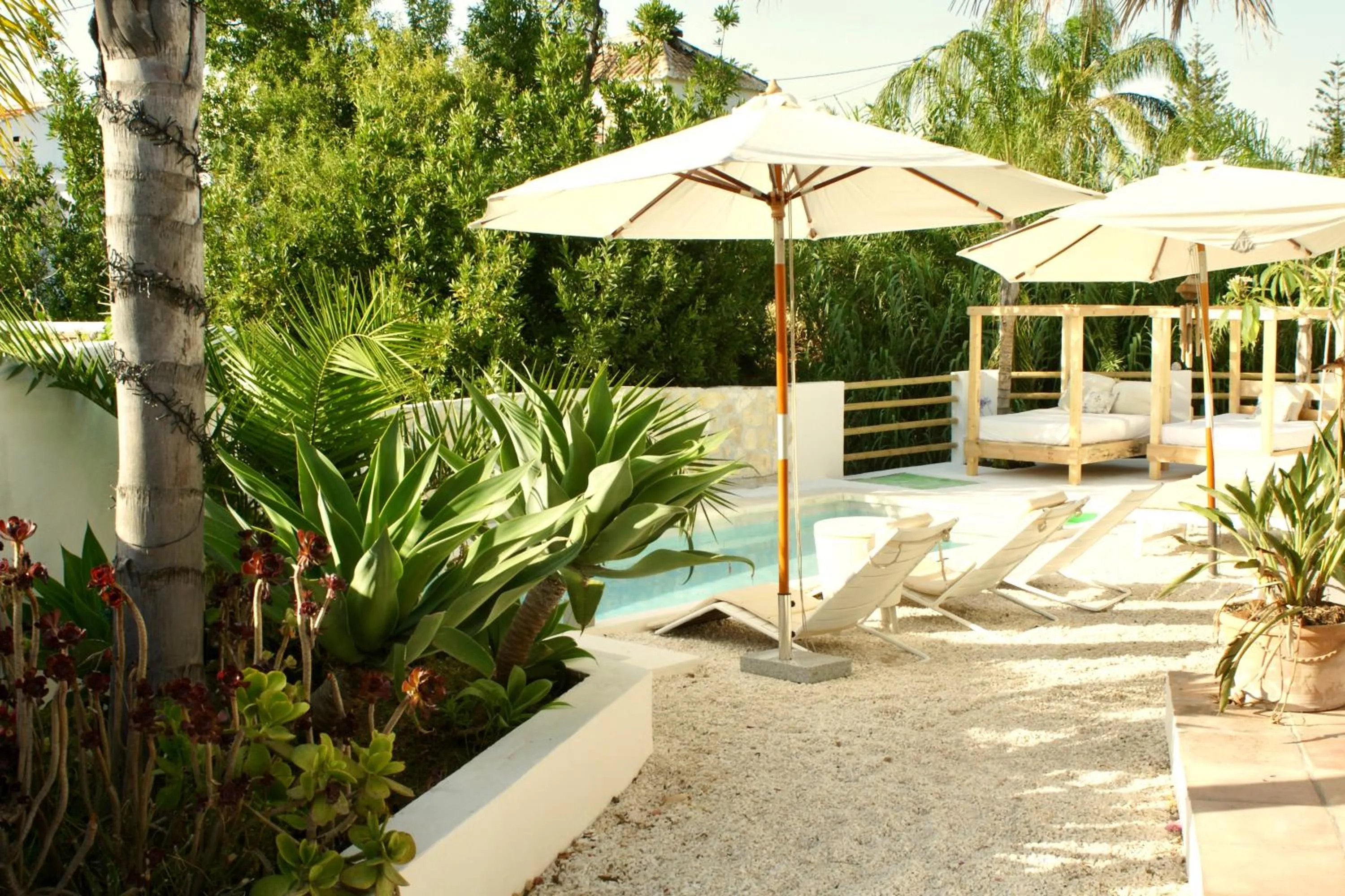 Spring in Finca Mil Estrellas