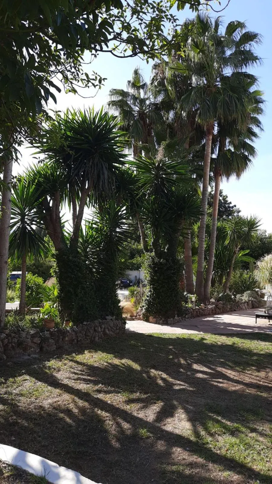 Garden in Finca Mil Estrellas