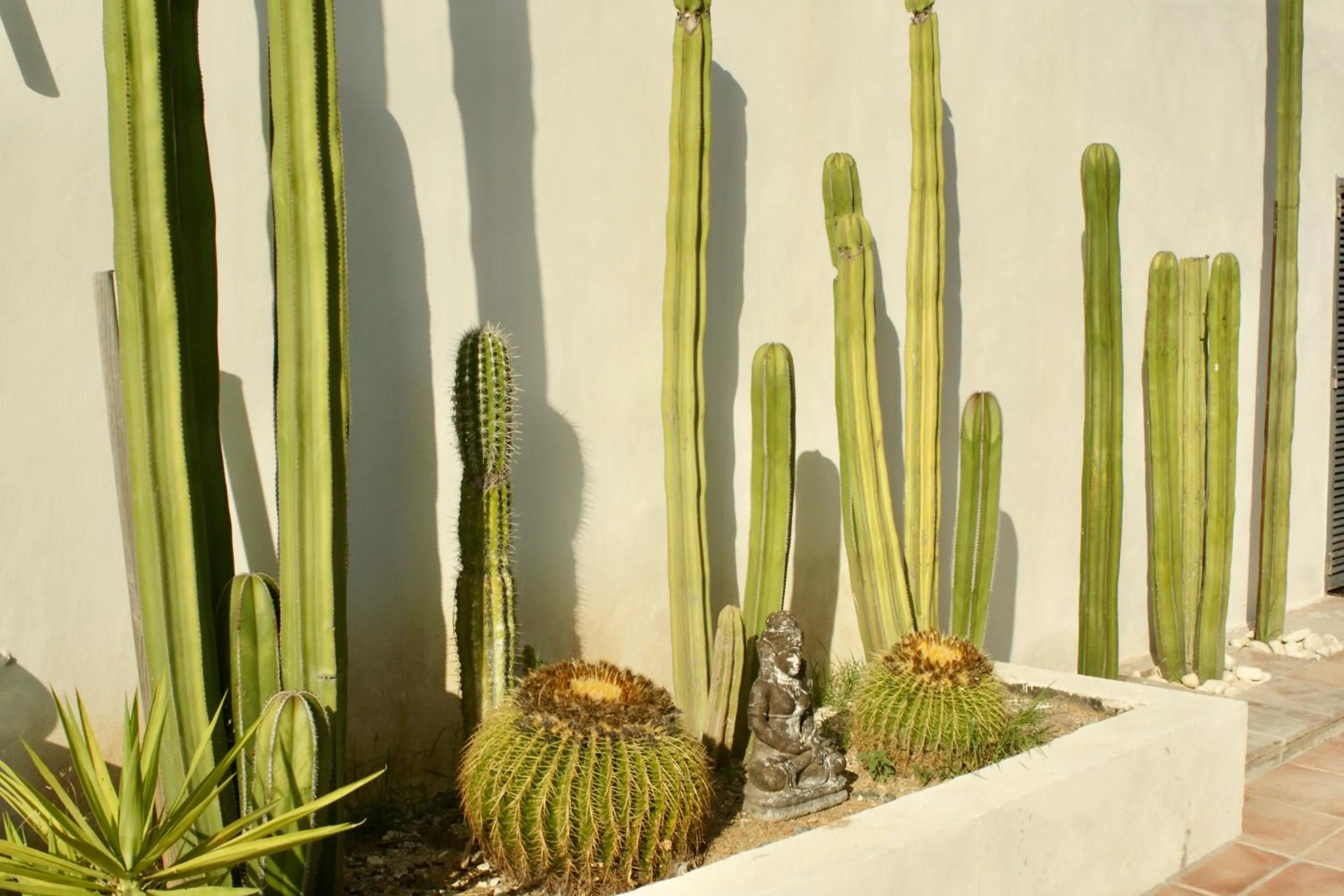 Garden in Finca Mil Estrellas