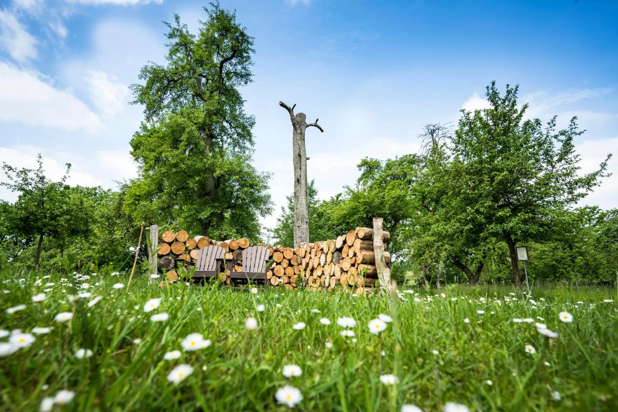 Garden in Schloss Kaarz mit Park