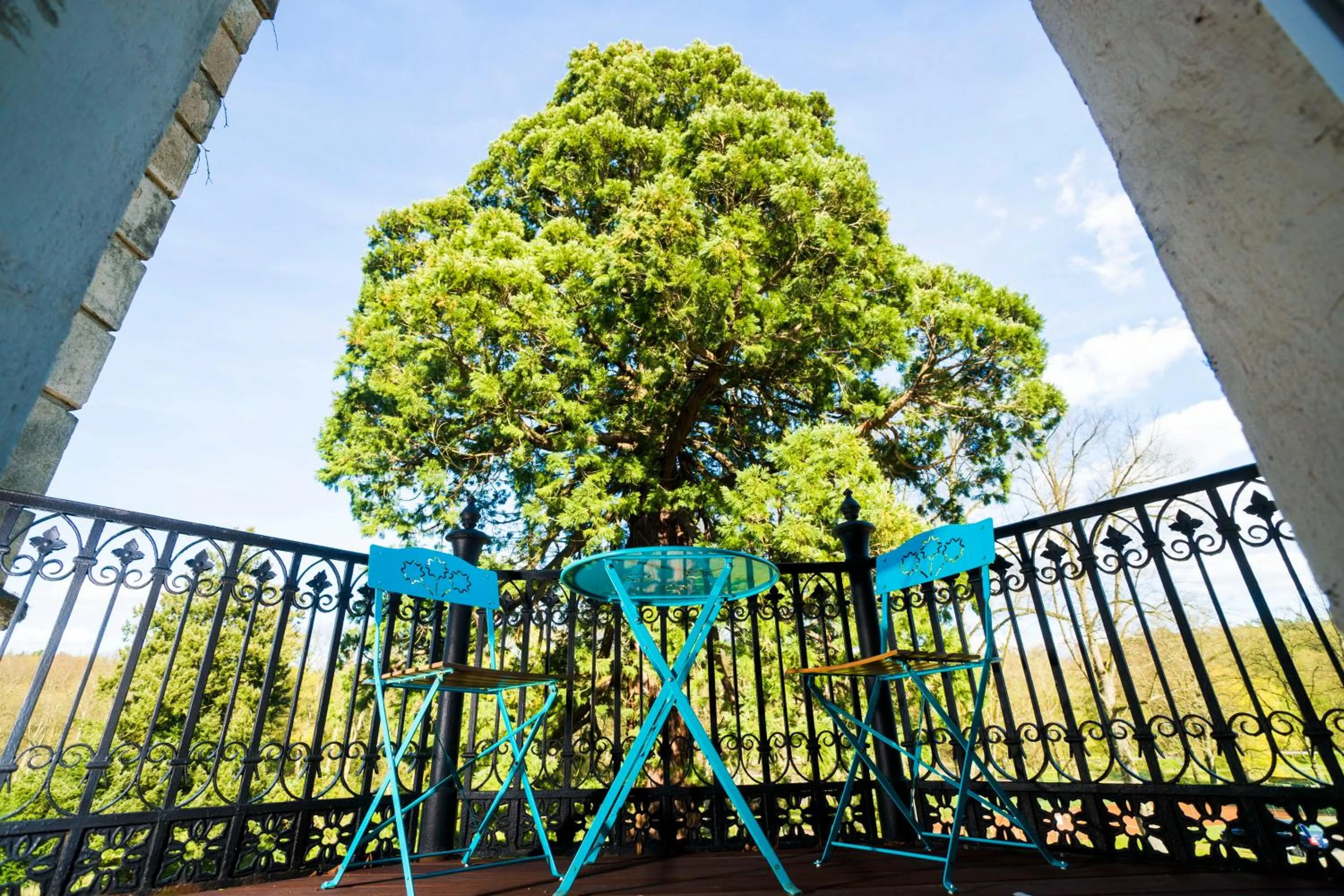 Photo of the whole room in Schloss Kaarz mit Park