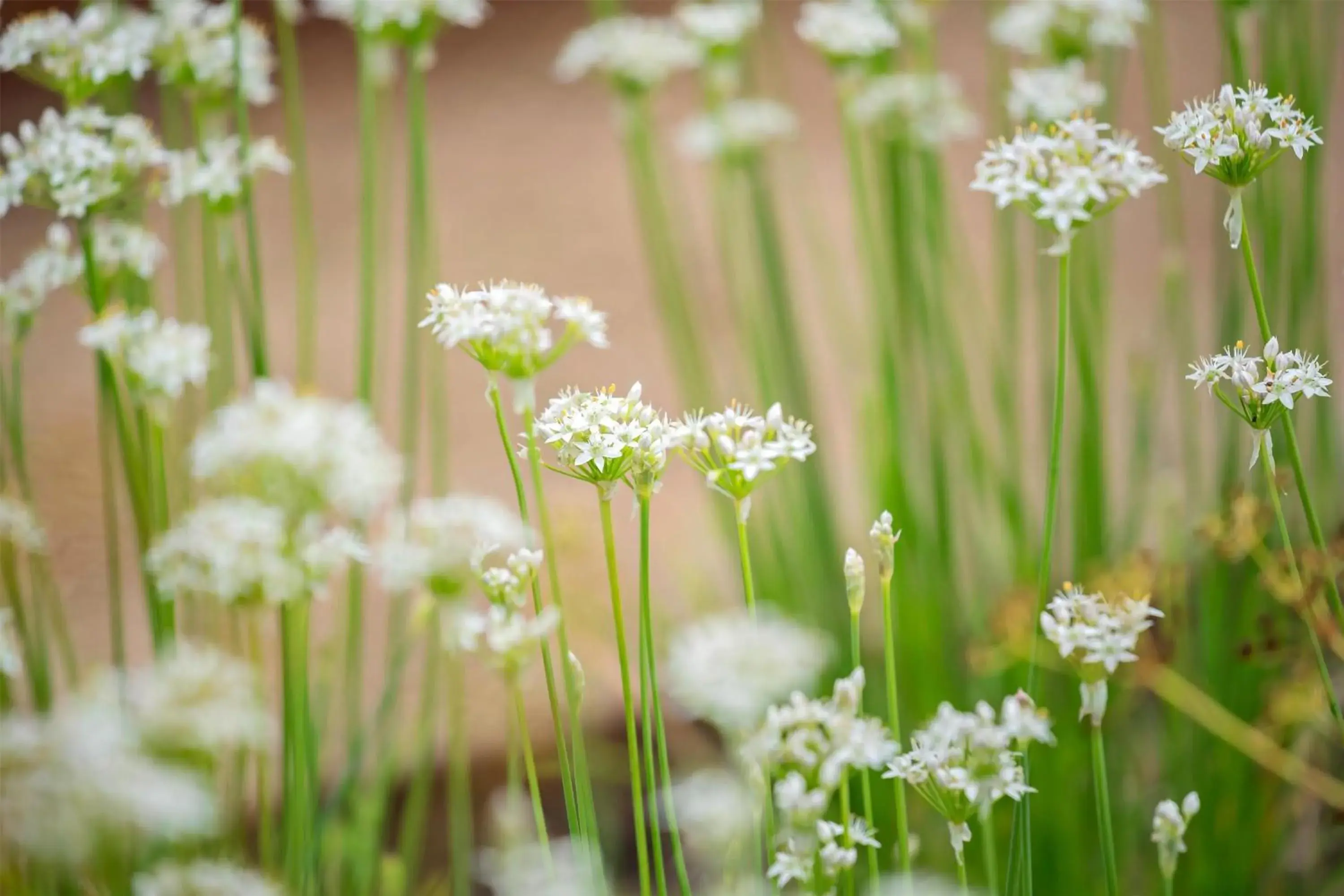 Property building in Best Western Hotel Hillerød Property building in Best Western Hotel Hillerød