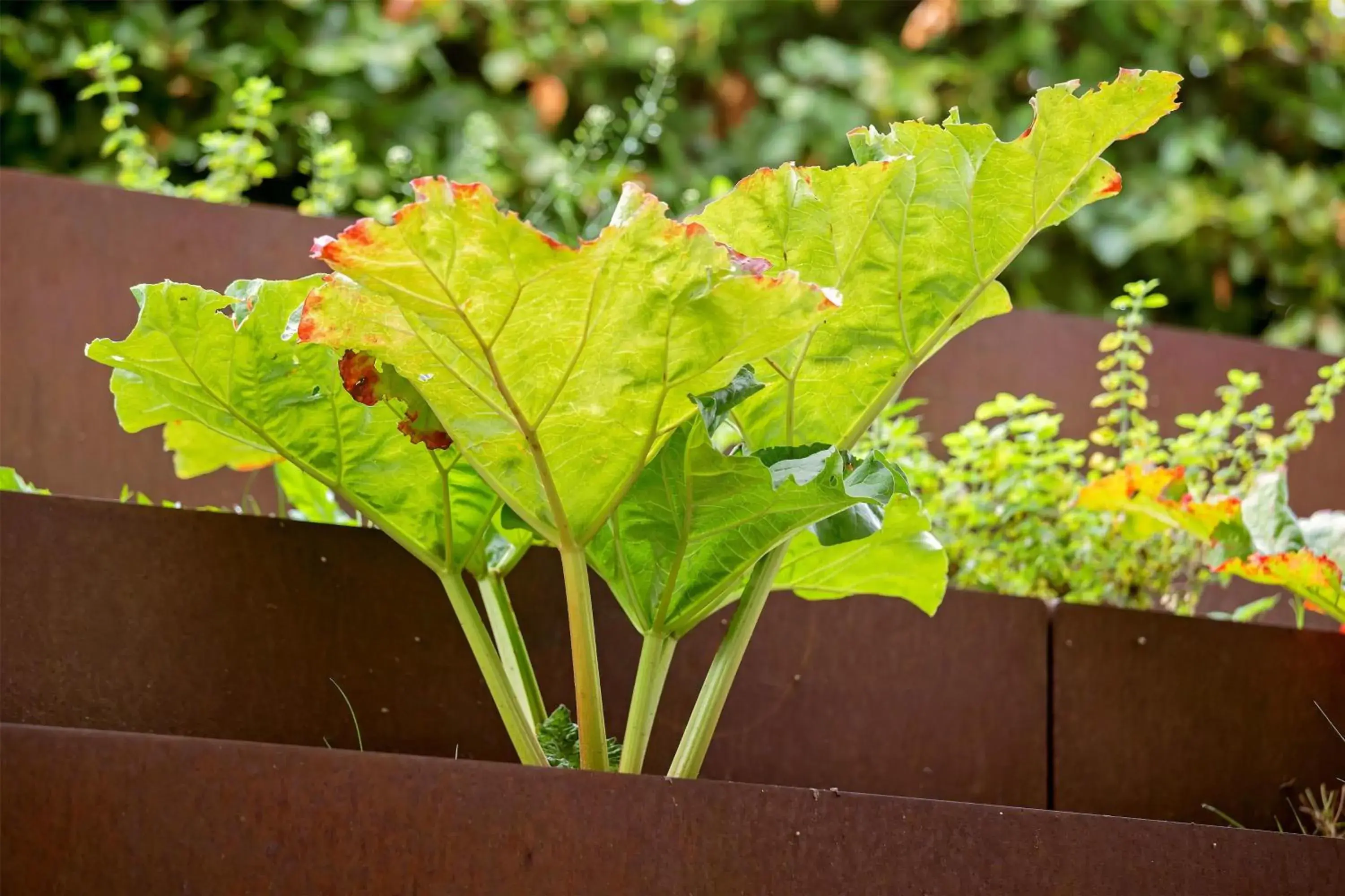 Property building in Best Western Hotel Hillerød Property building in Best Western Hotel Hillerød